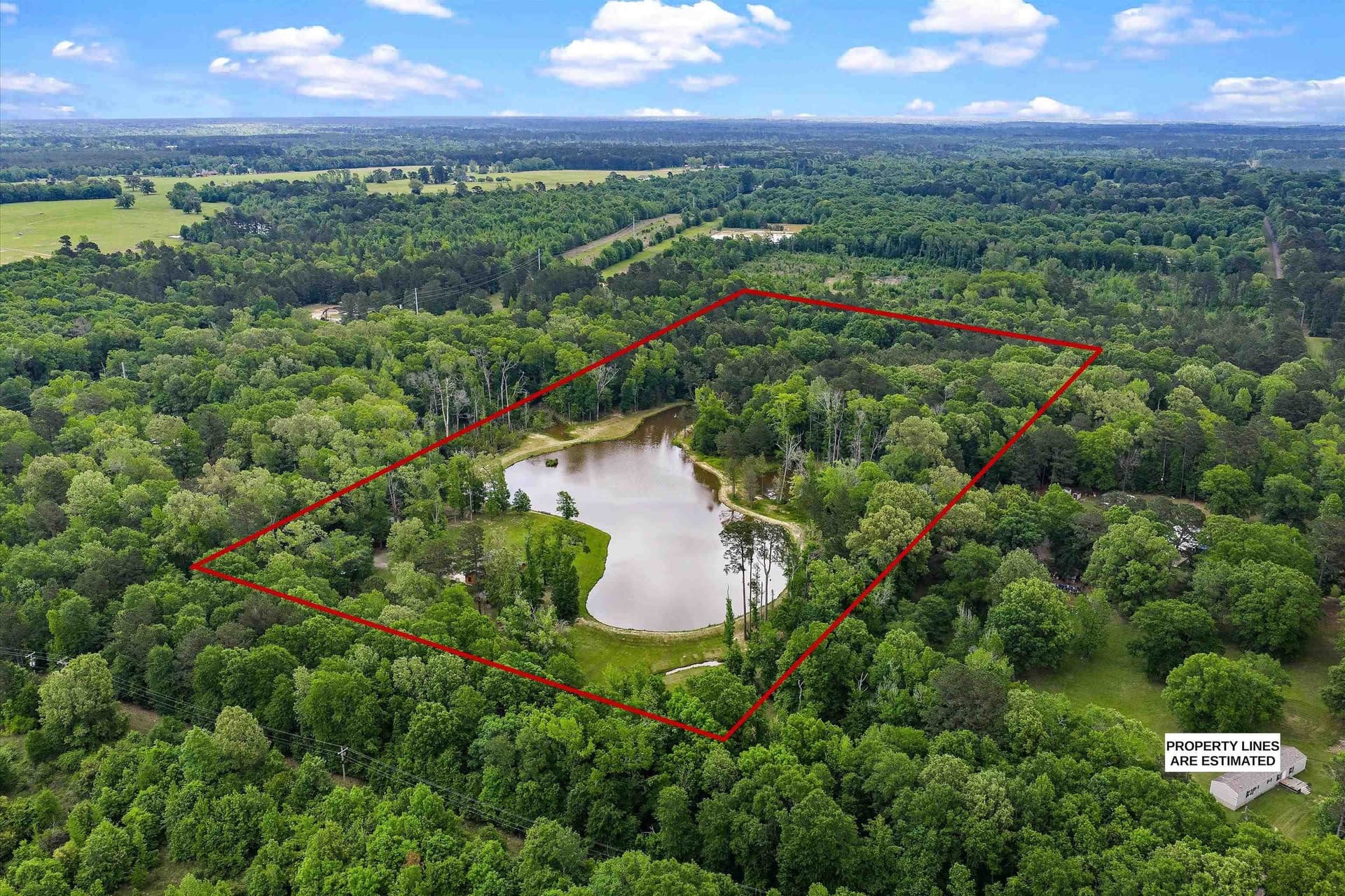 14.15 acres in Panola County gallery image 4