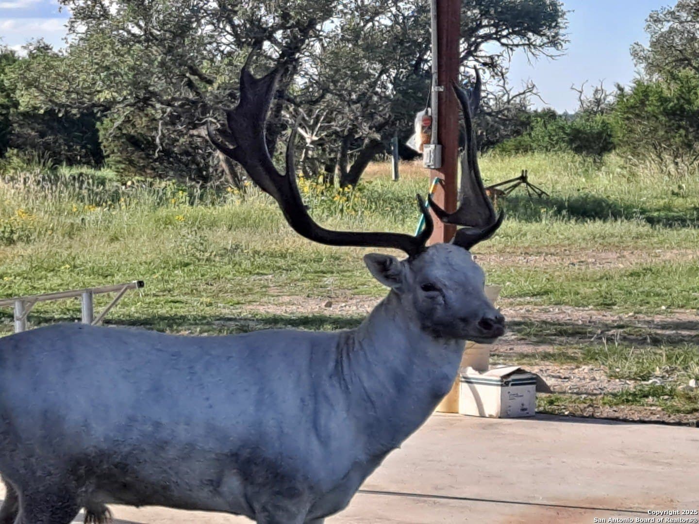 59.42 acres in Edwards County gallery image 2