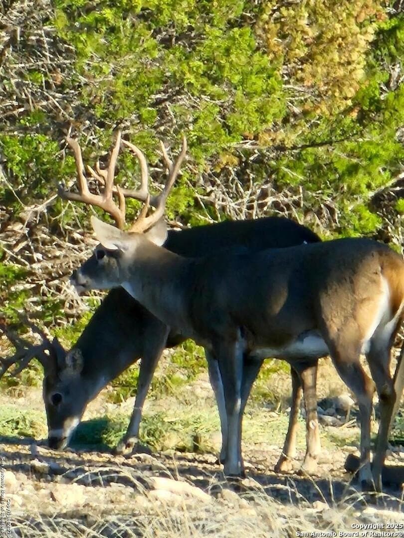 59.42 acres in Edwards County featured view