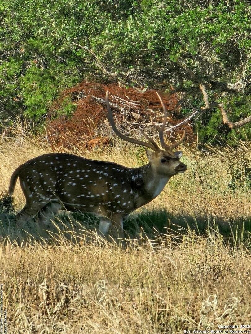 59.42 acres in Edwards County gallery image 3
