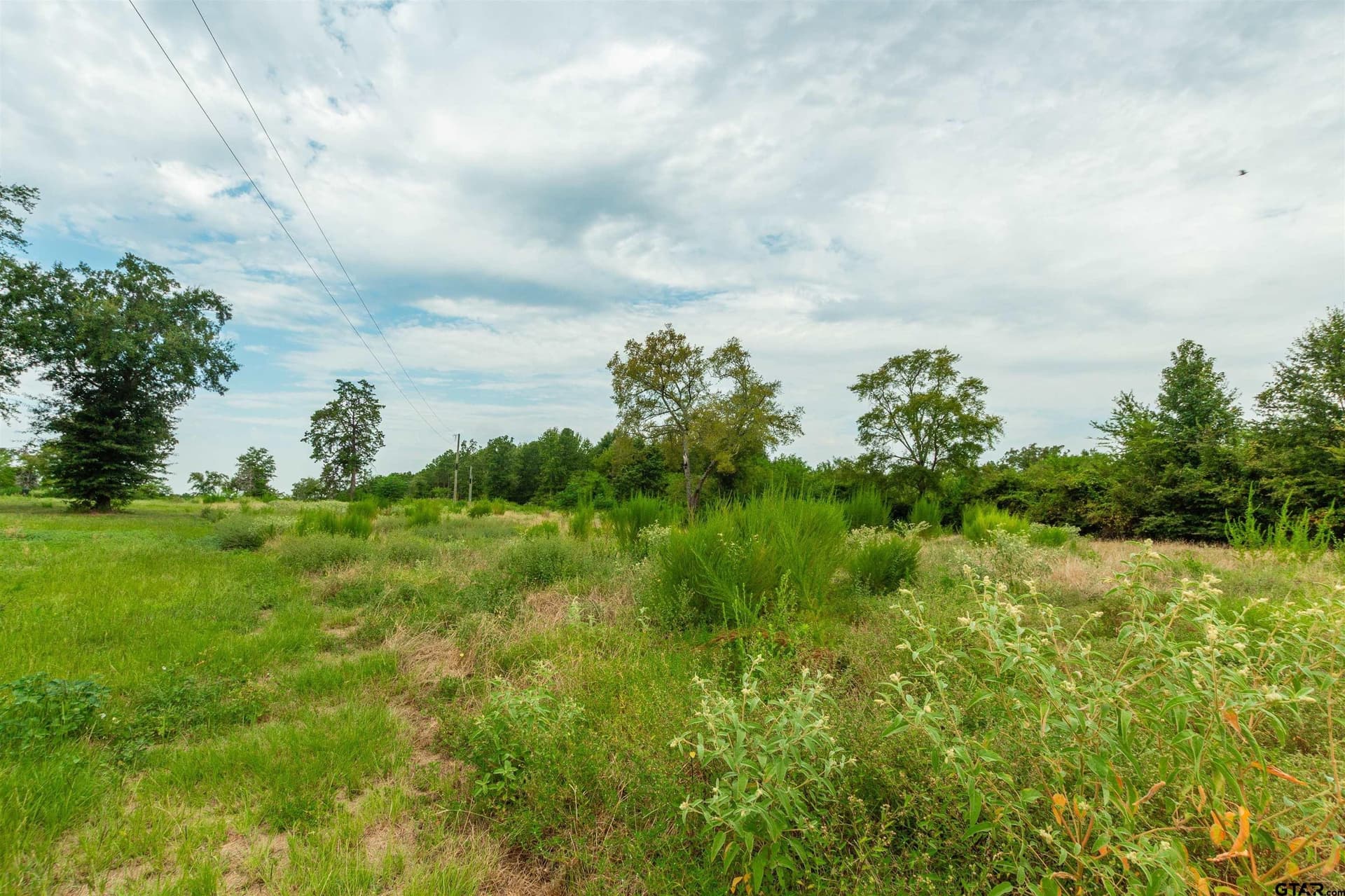 24.99 acres in Upshur County - photo 6