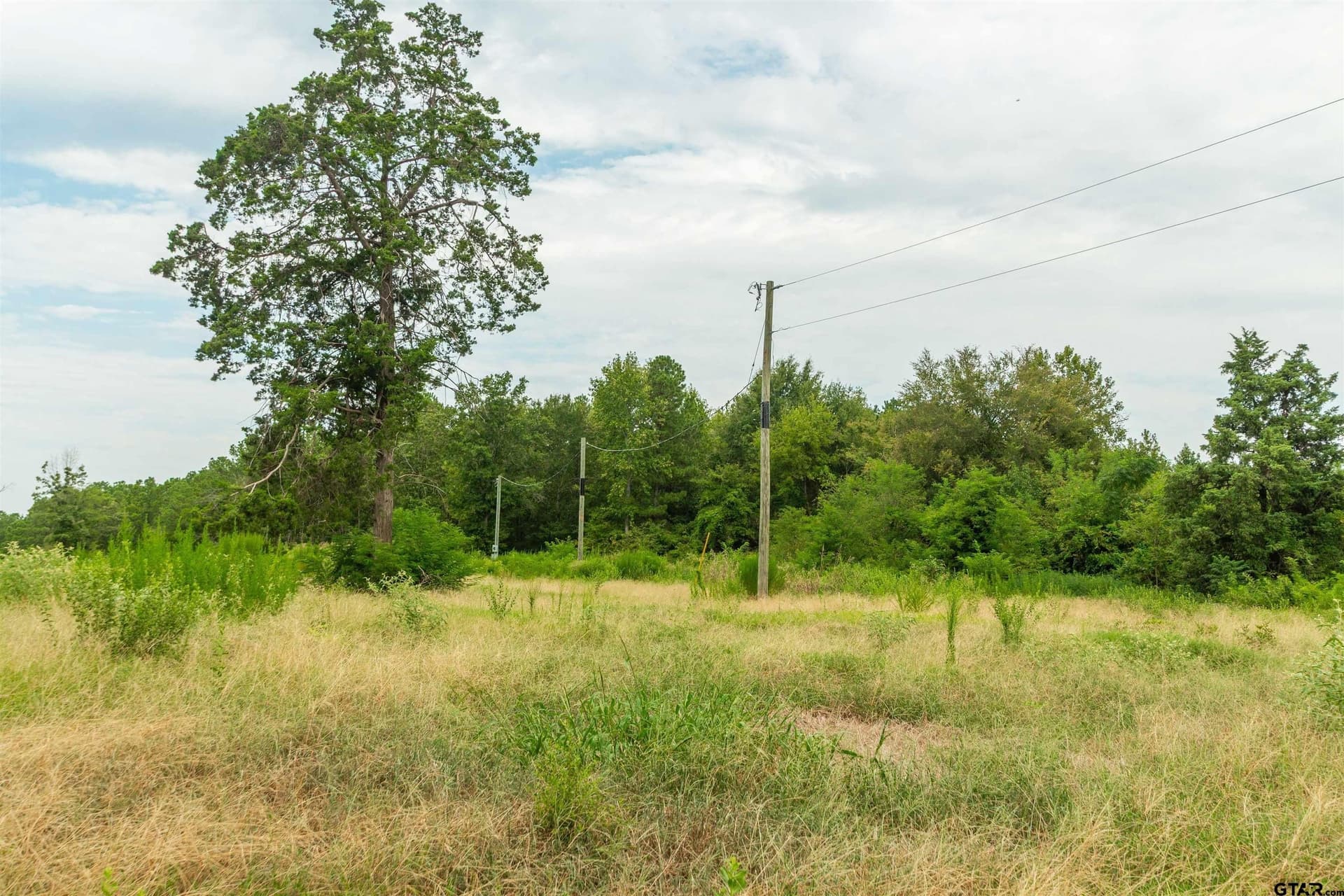 24.99 acres in Upshur County - photo 13