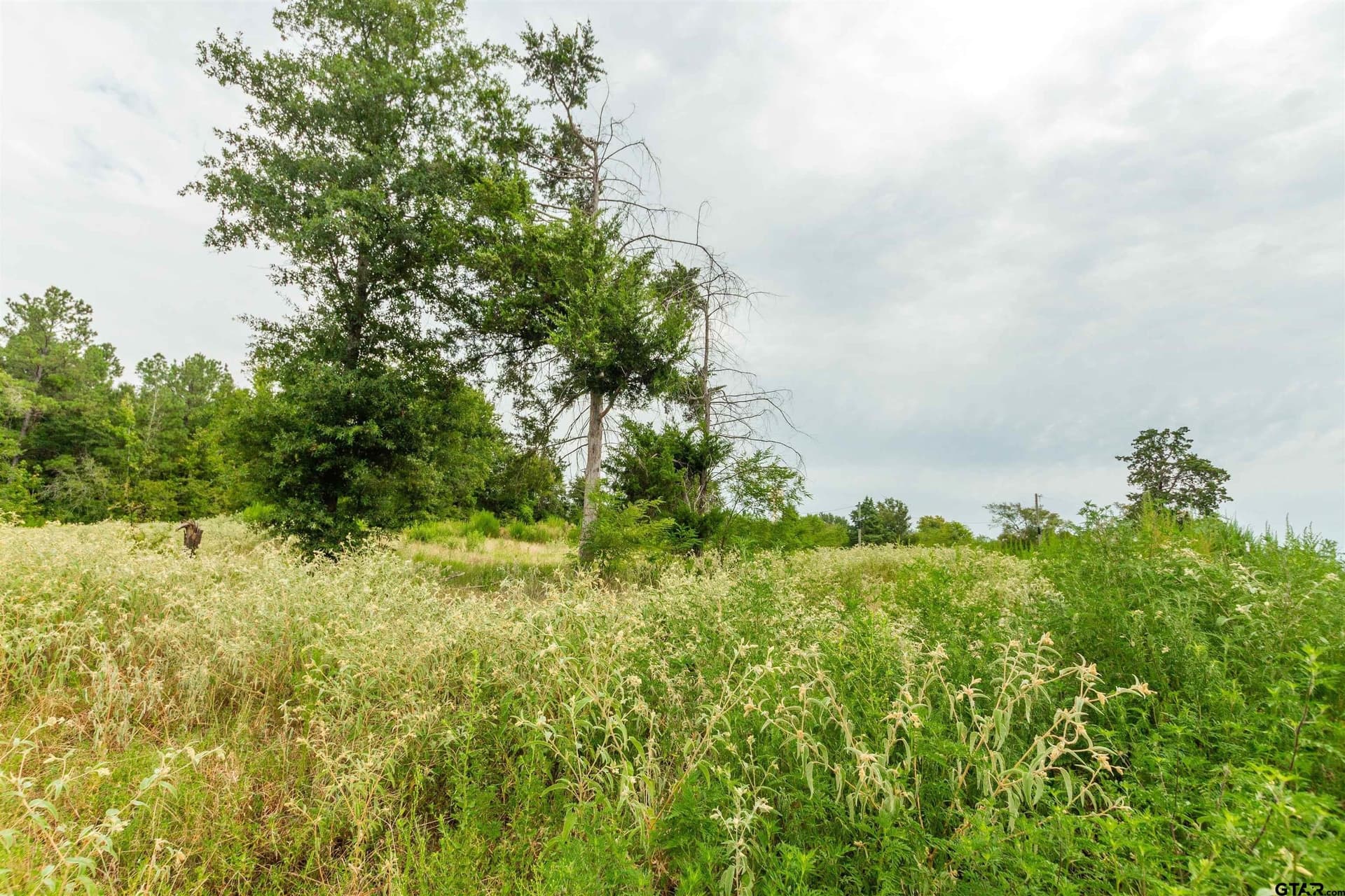 24.99 acres in Upshur County - photo 8