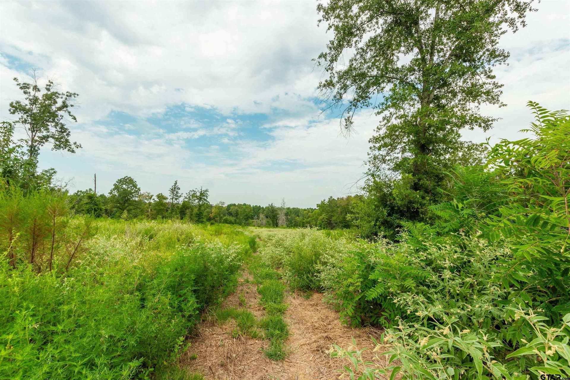 24.99 acres in Upshur County - photo 10