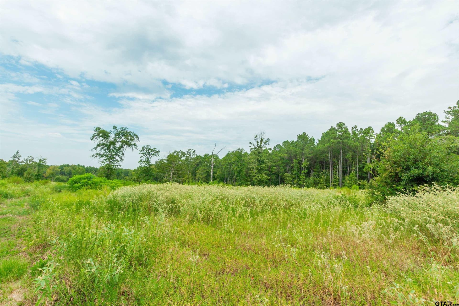 24.99 acres in Upshur County - photo 9