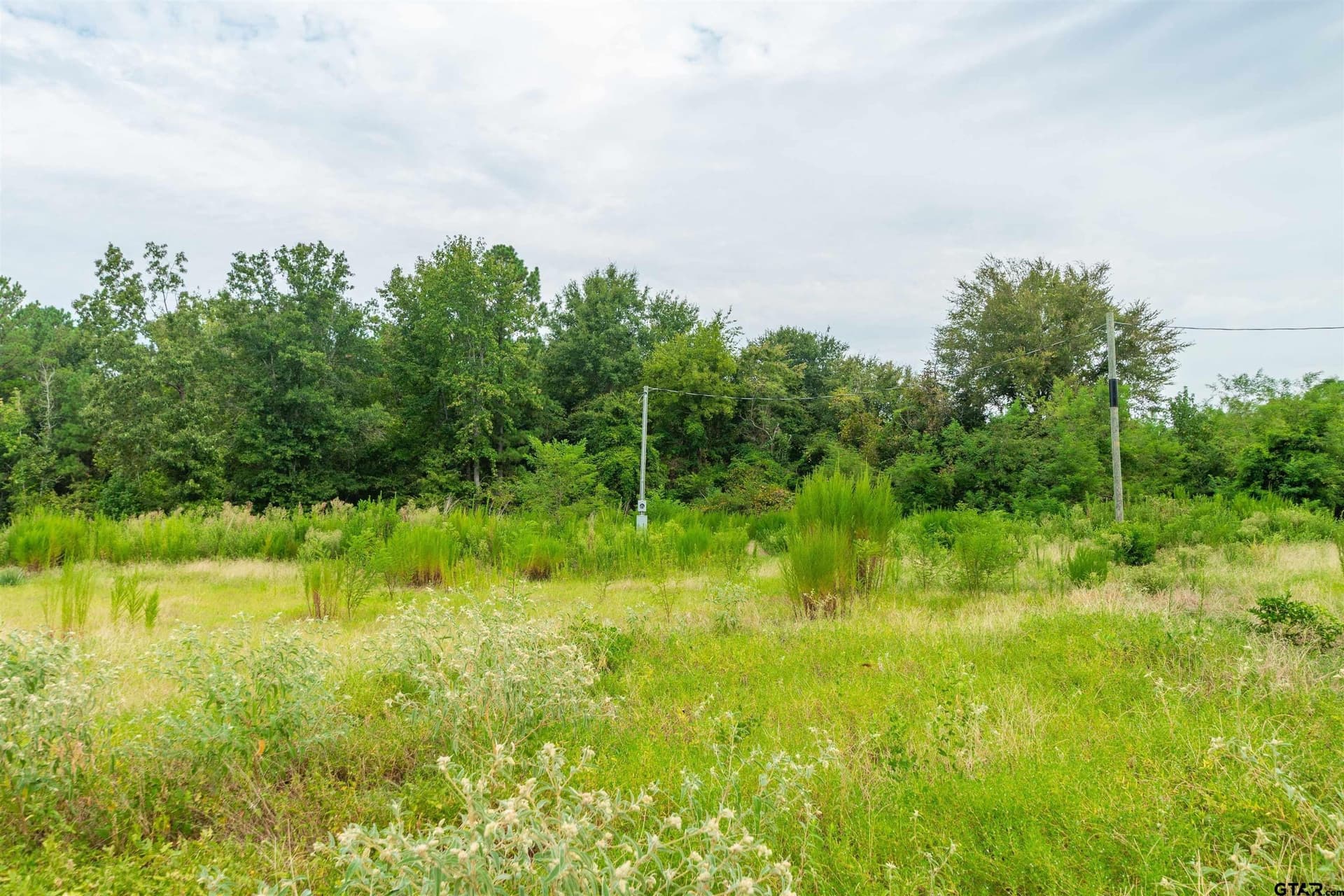 24.99 acres in Upshur County - photo 12