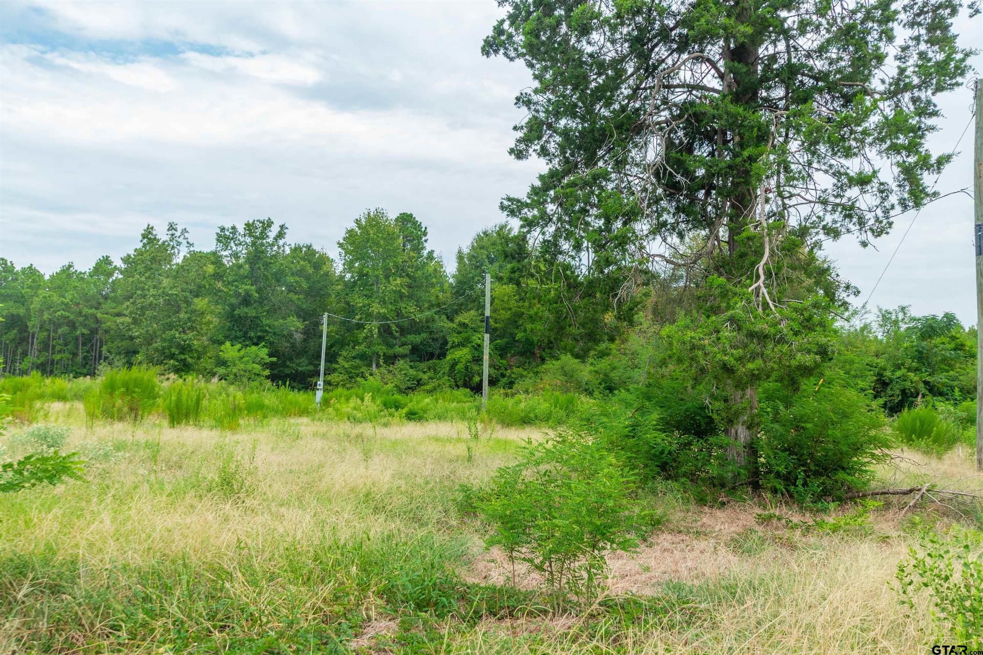 24.99 acres in Upshur County - photo 11