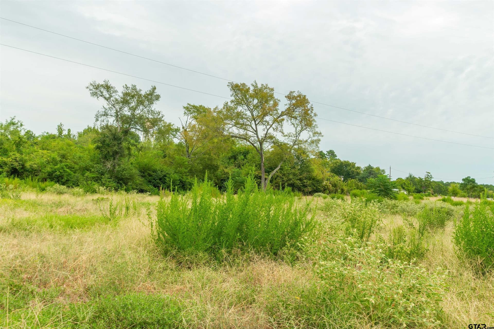 24.99 acres in Upshur County - photo 7