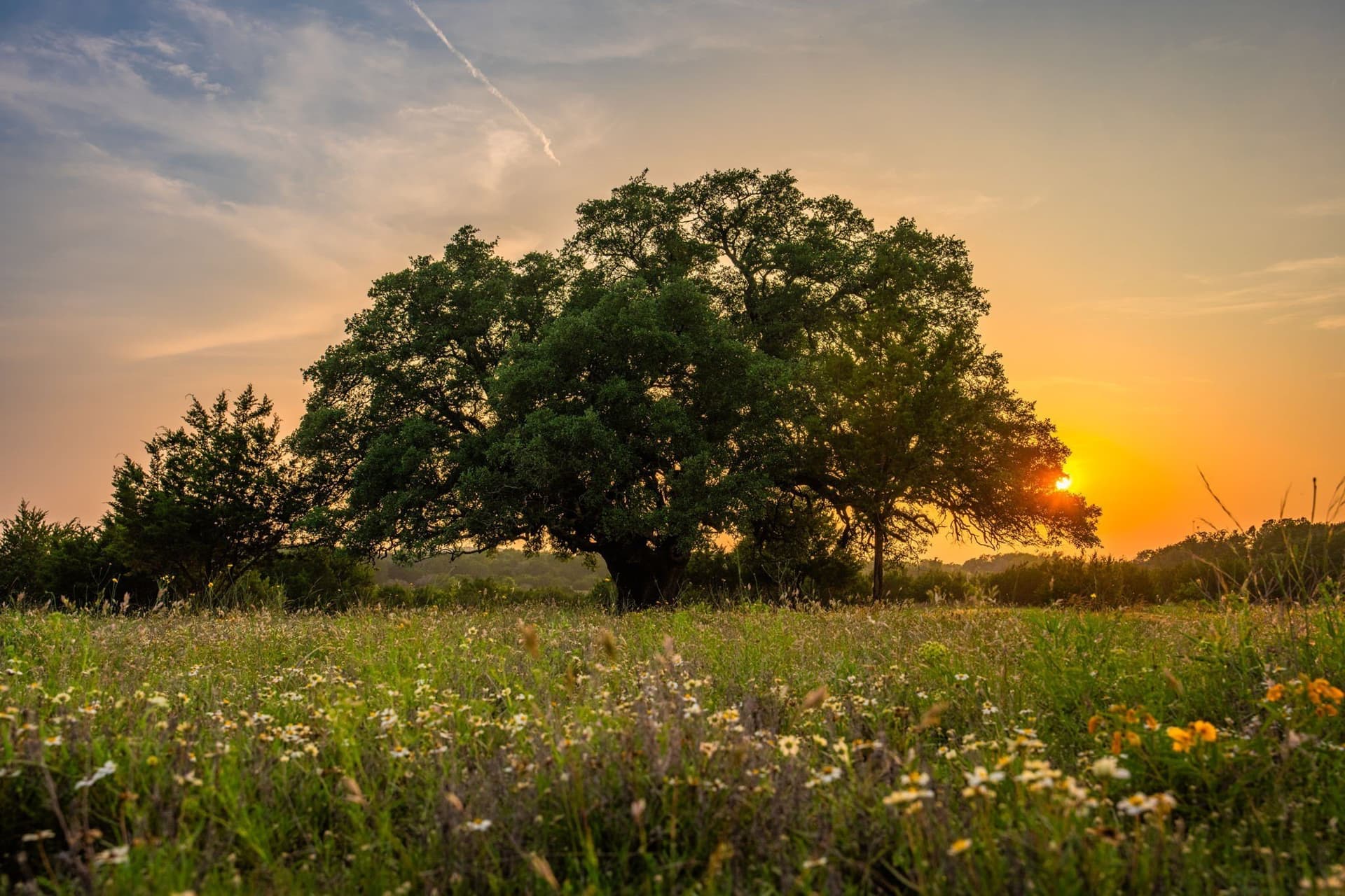 88 acres in Hamilton County - photo 5