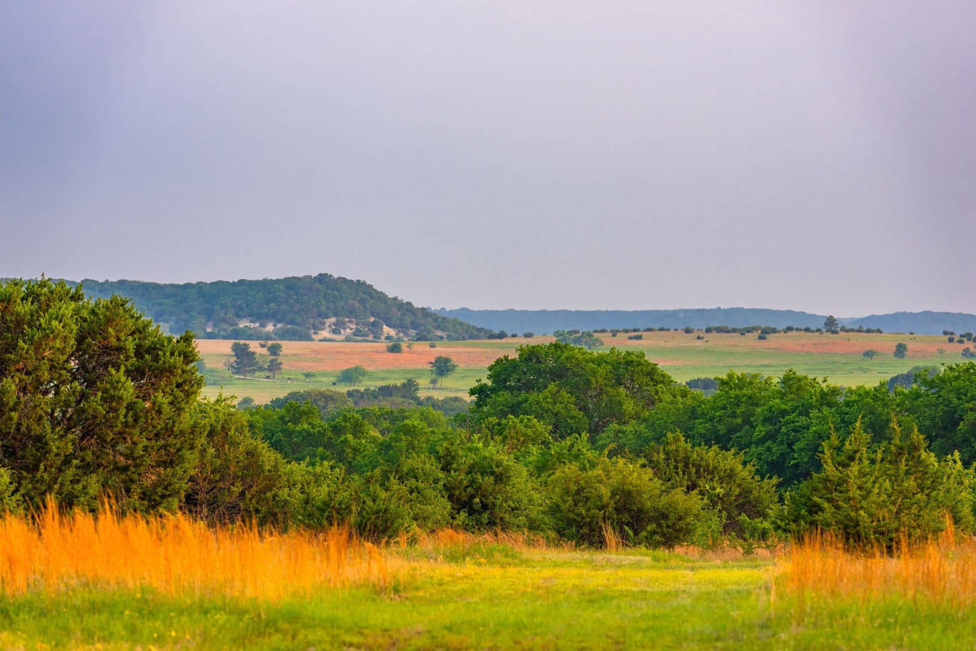 88 acres in Hamilton County - photo 4