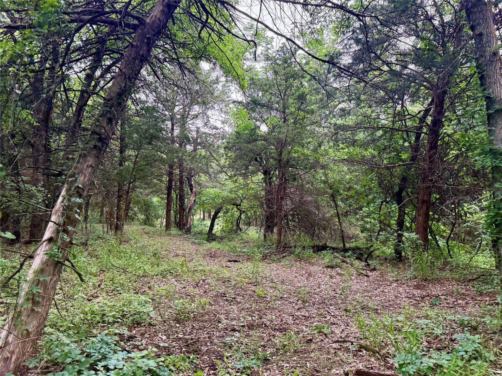 21.35 acres in Montague County - photo 34