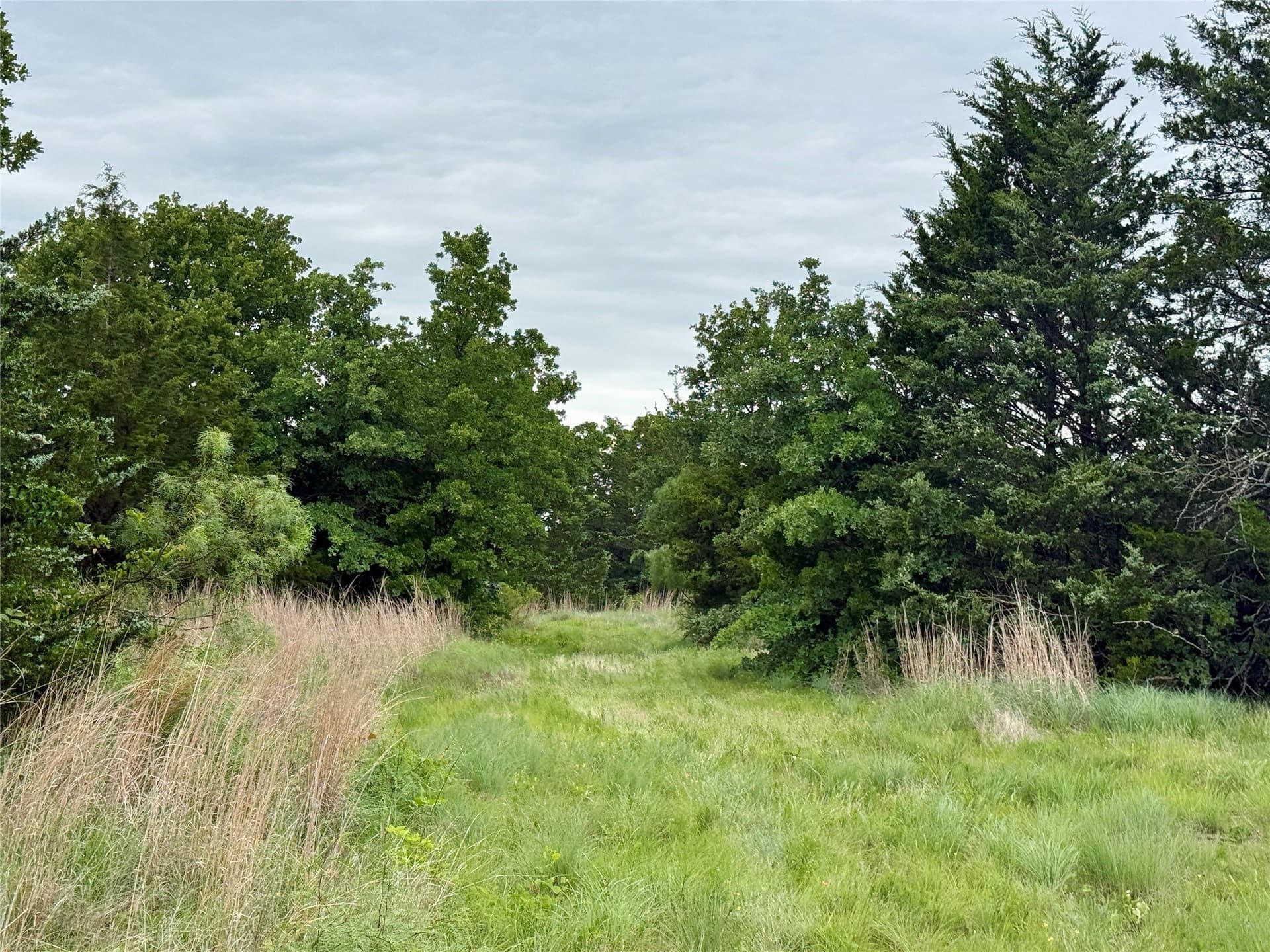 21.35 acres in Montague County - photo 21