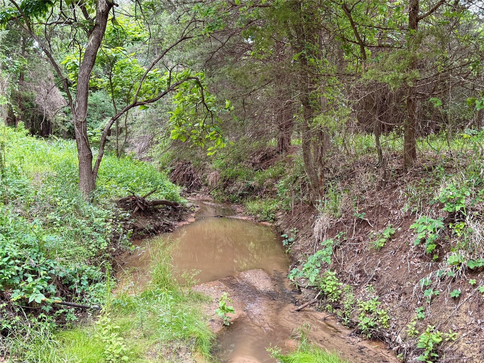21.35 acres in Montague County - photo 18