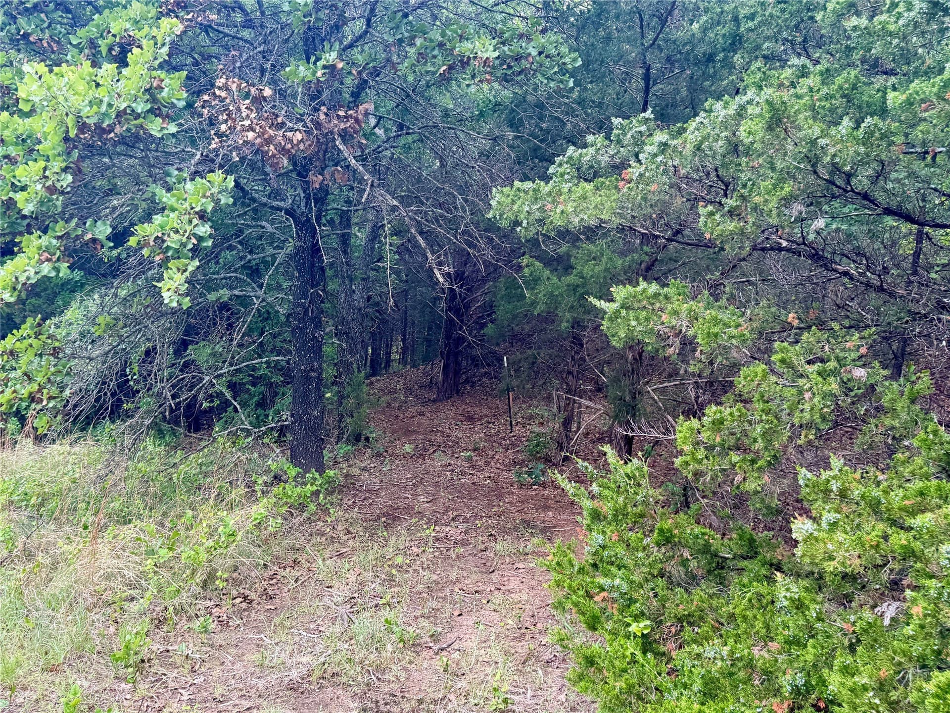 21.35 acres in Montague County - photo 22