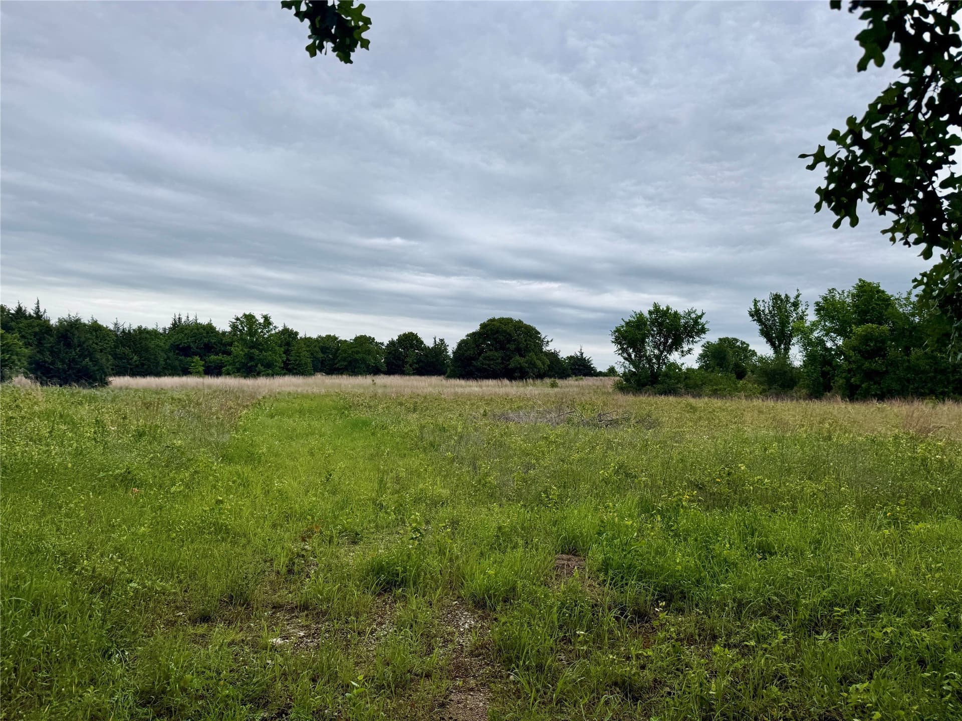 21.35 acres in Montague County - photo 20