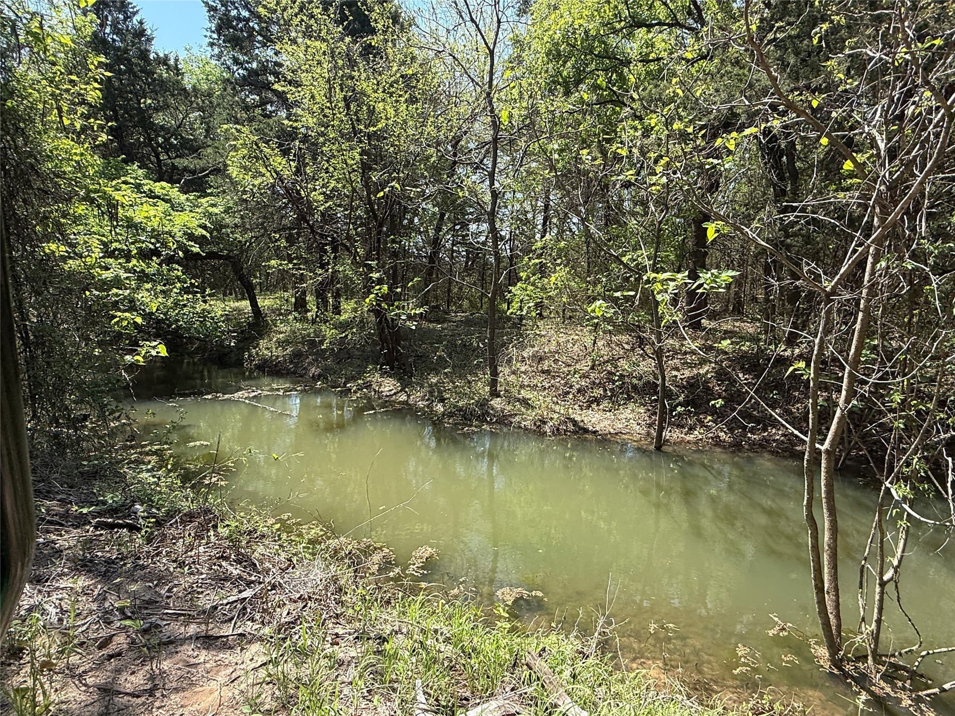 21.35 acres in Montague County - photo 8