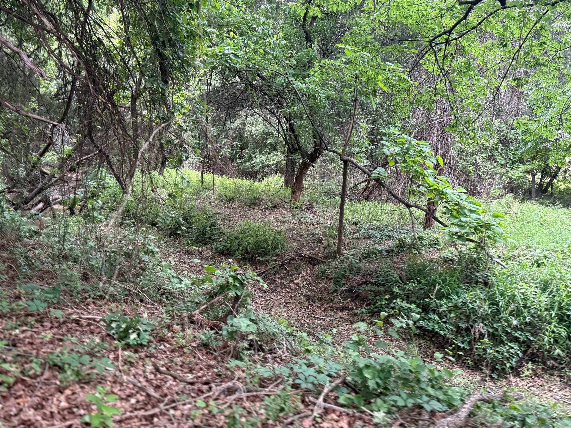 21.35 acres in Montague County - photo 32