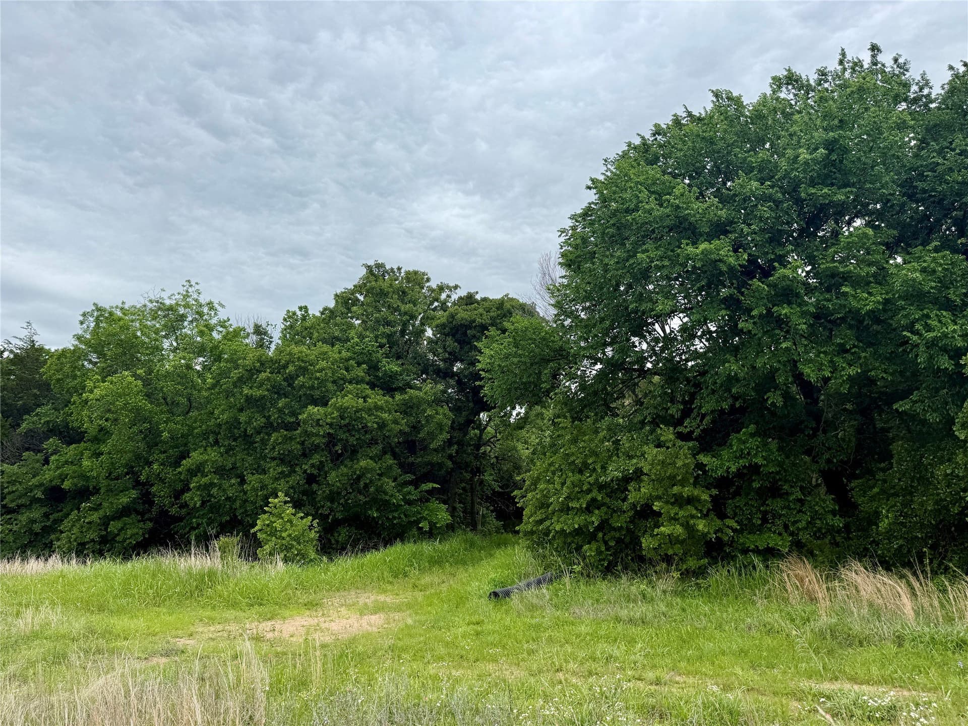 21.35 acres in Montague County - photo 15