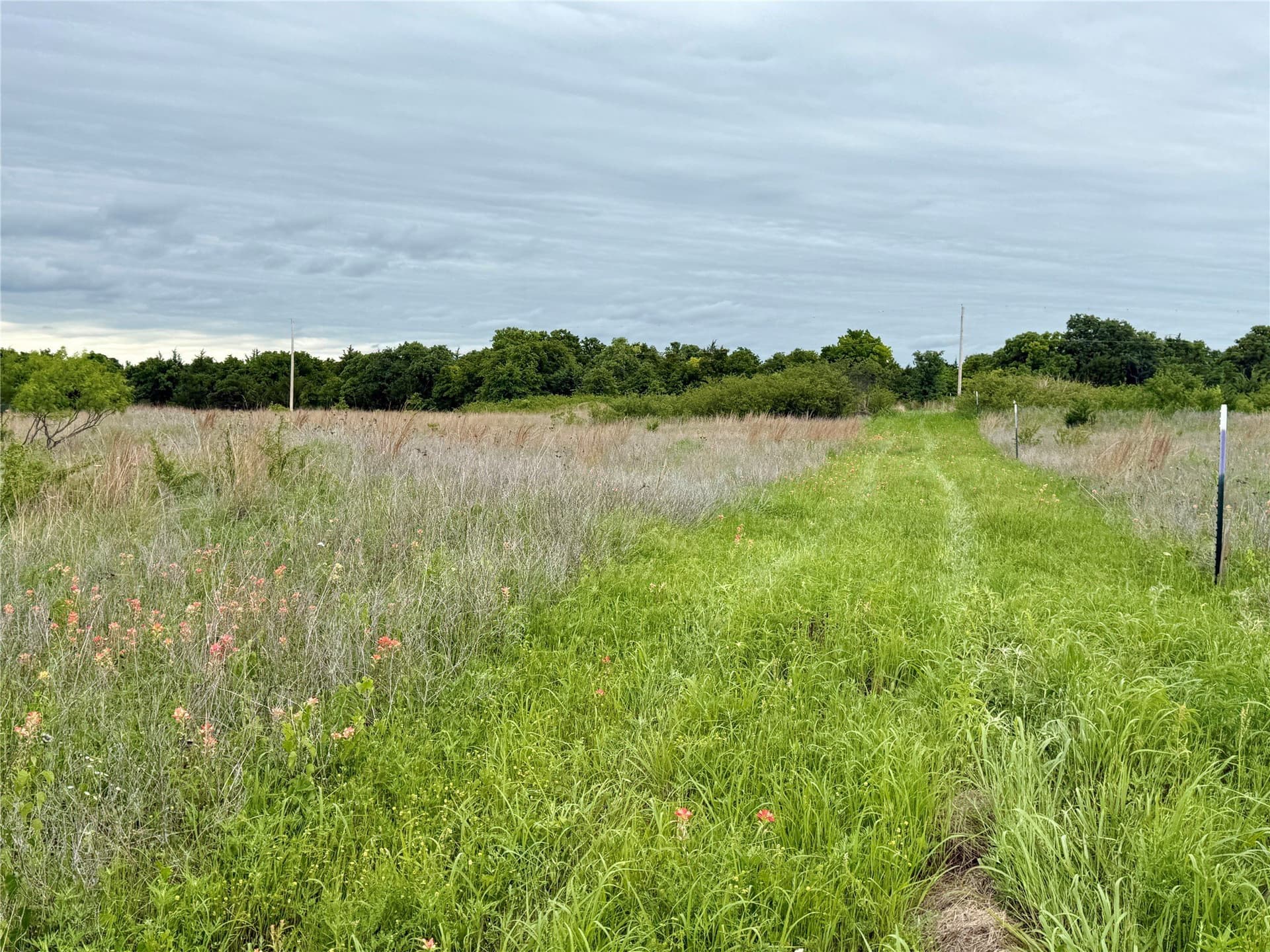 21.35 acres in Montague County - photo 38