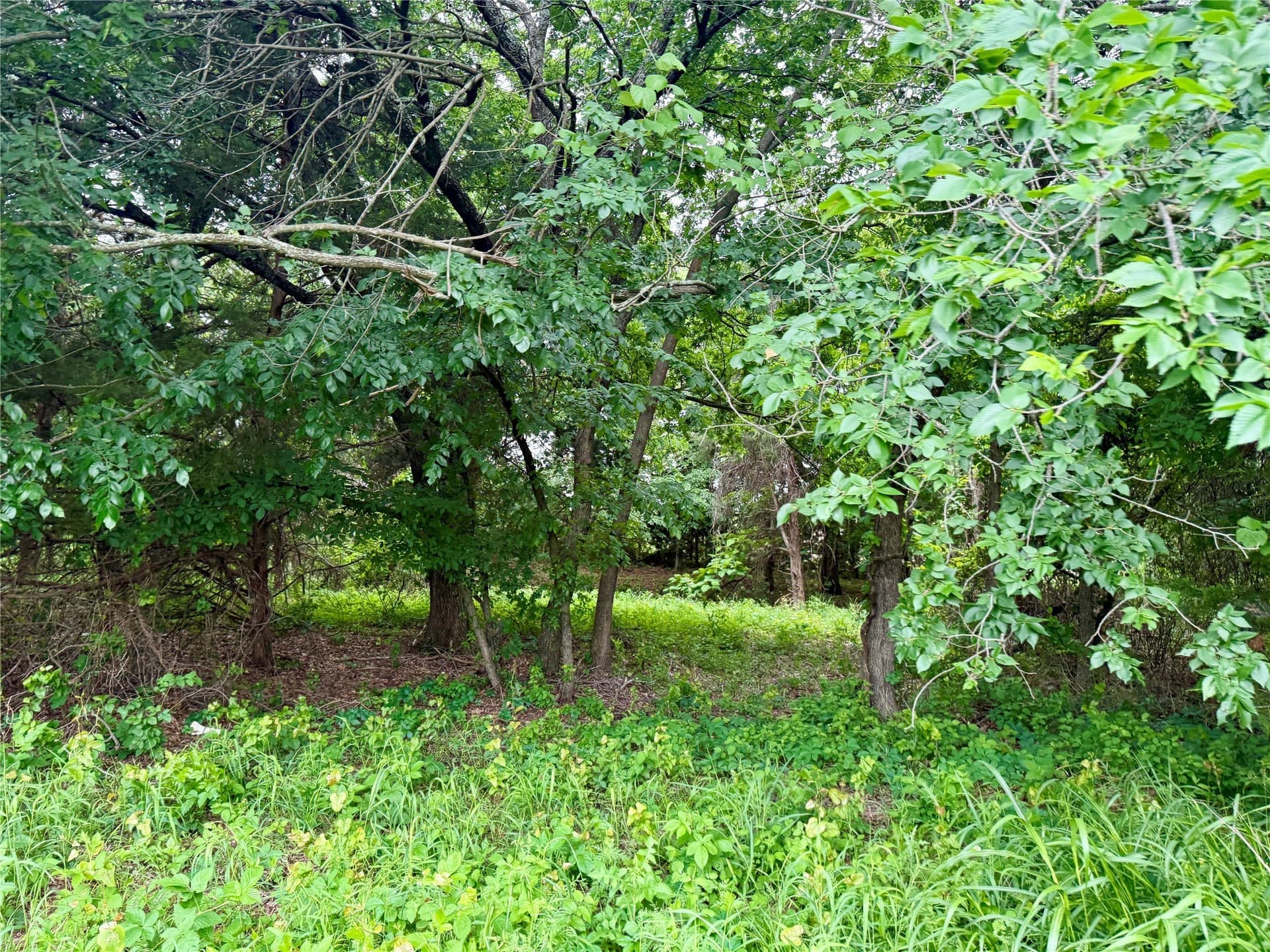 21.35 acres in Montague County - photo 28