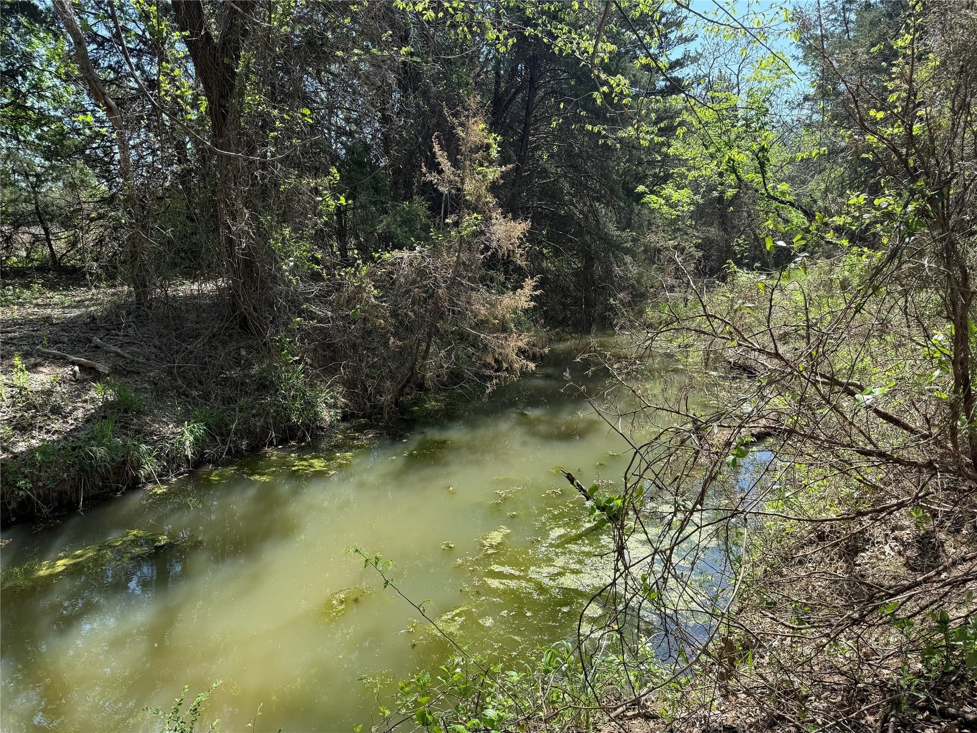 21.35 acres in Montague County - photo 6