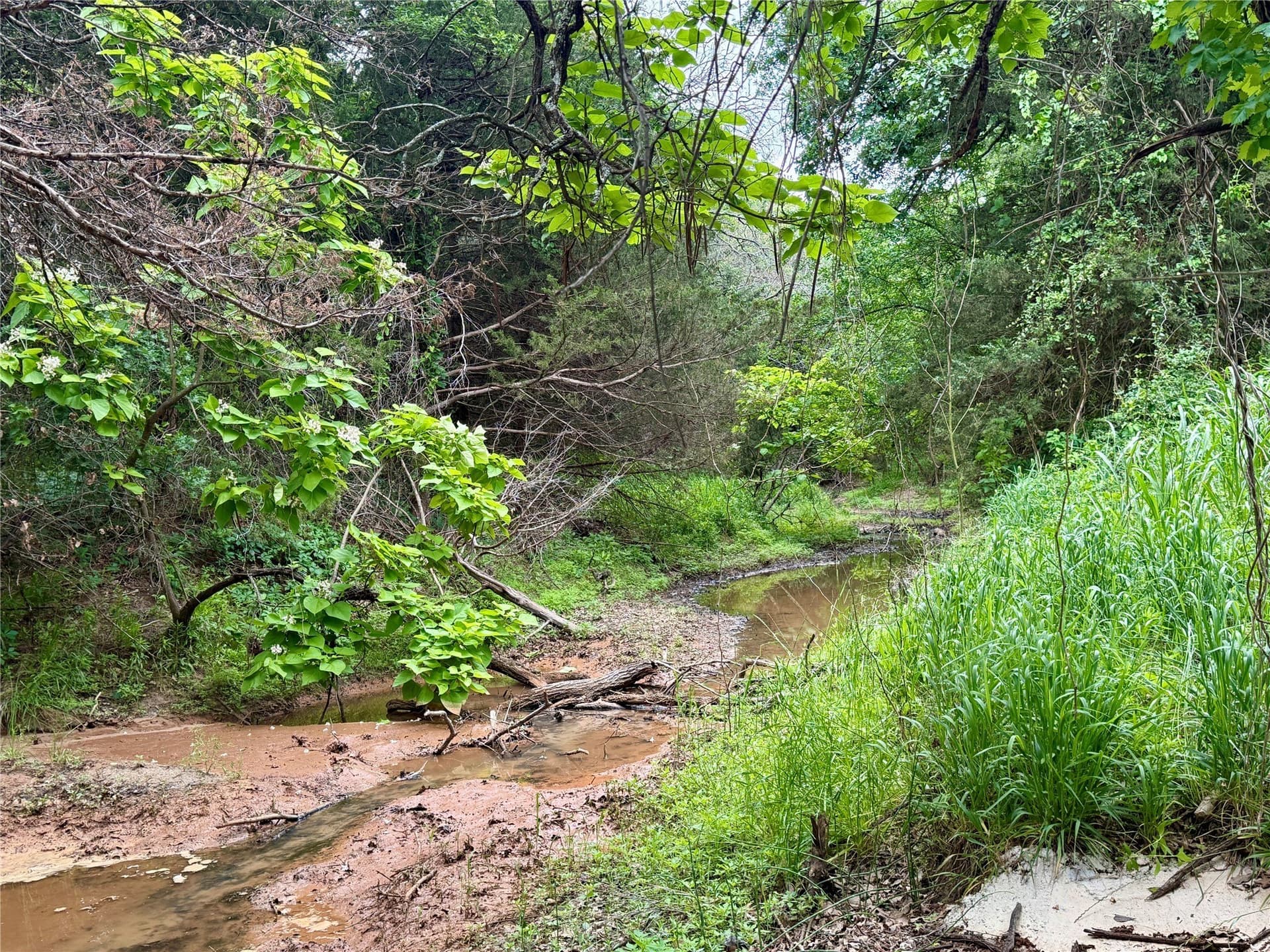 21.35 acres in Montague County - photo 19