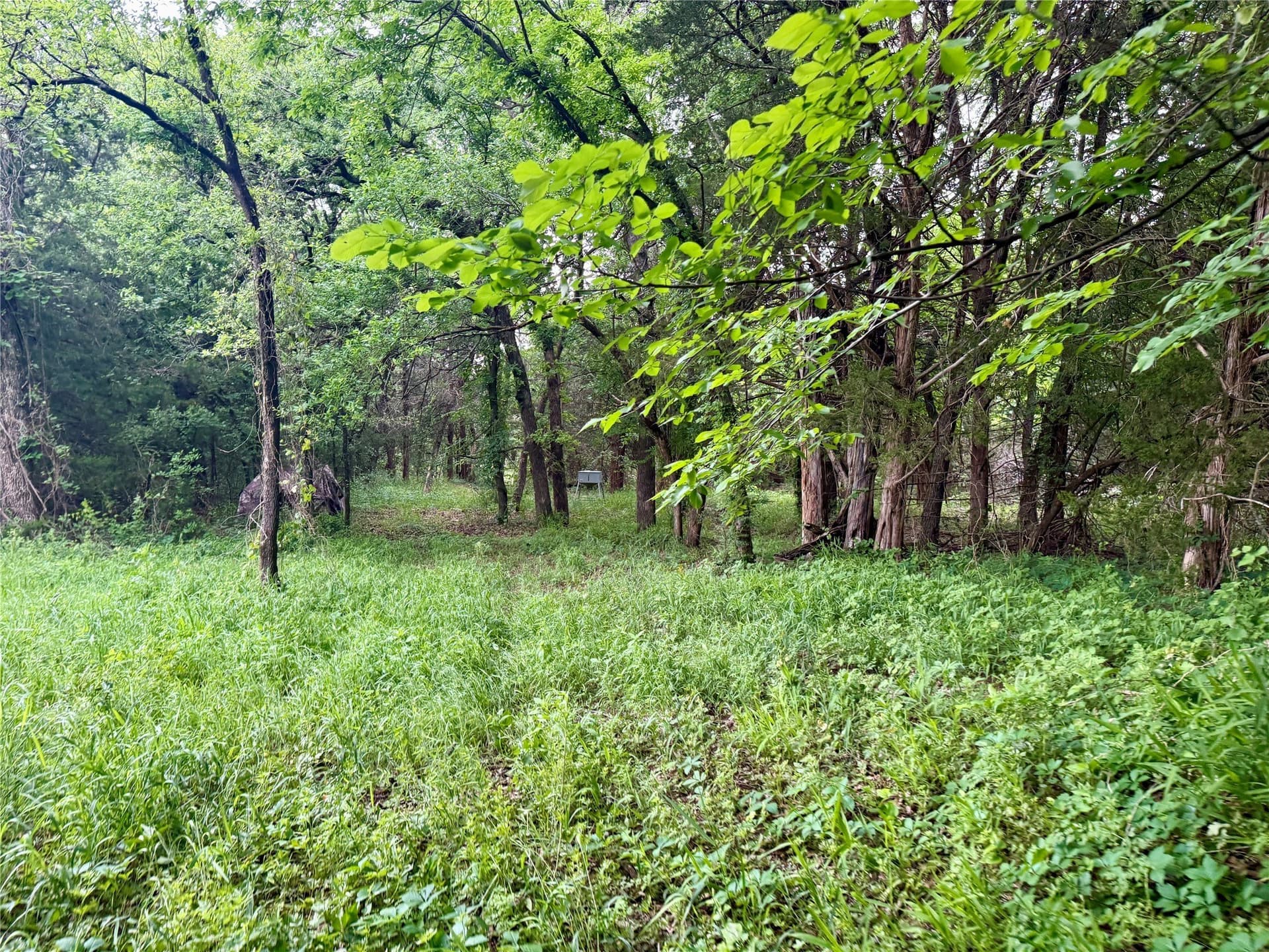 21.35 acres in Montague County - photo 33