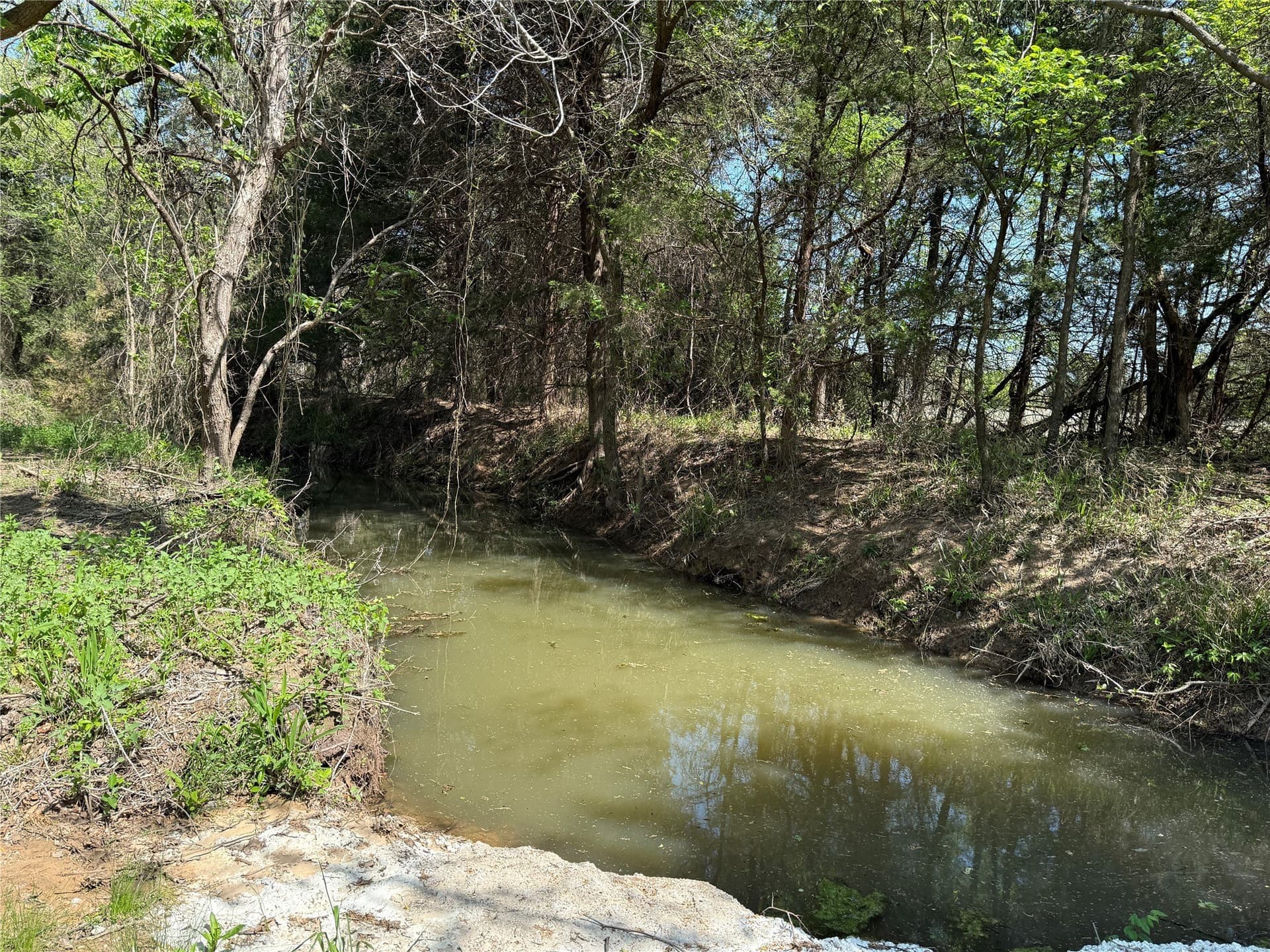 21.35 acres in Montague County - photo 3