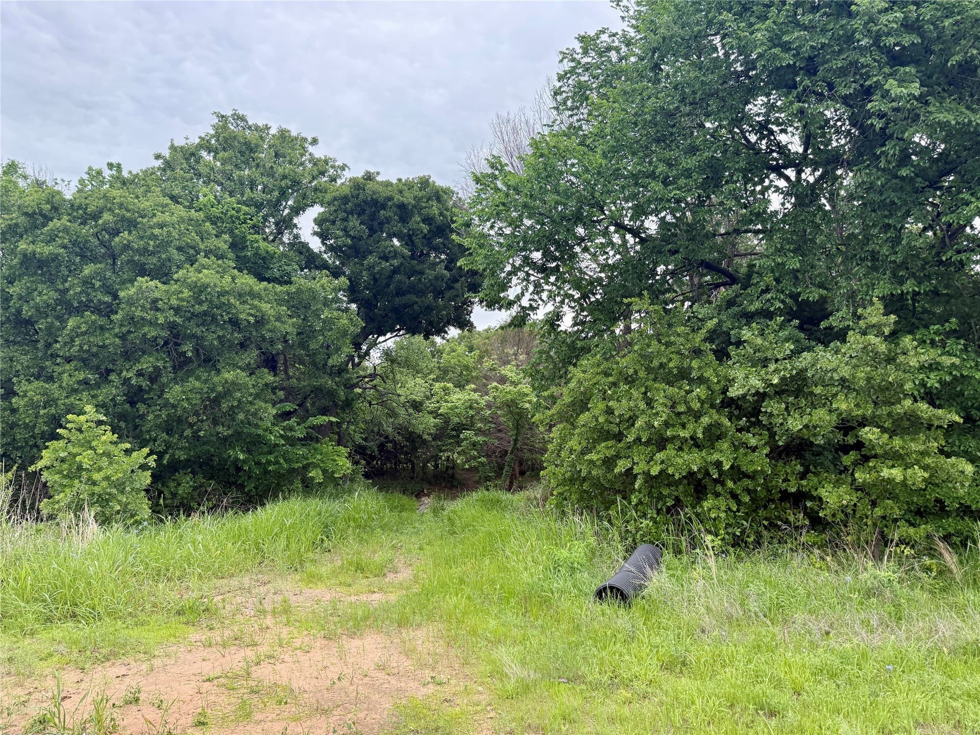 21.35 acres in Montague County - photo 16