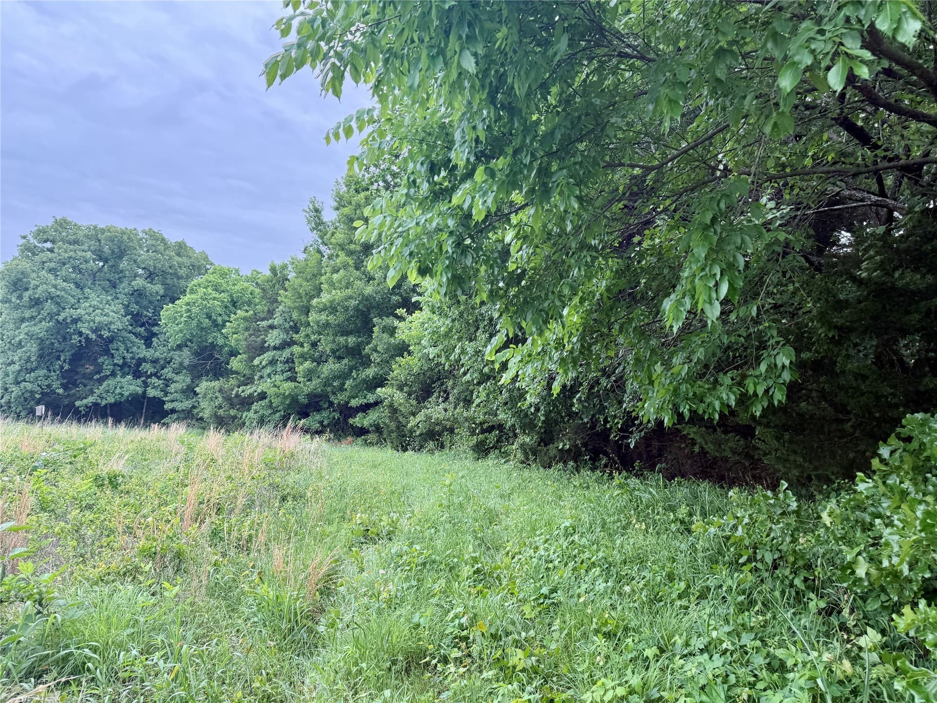 21.35 acres in Montague County - photo 27