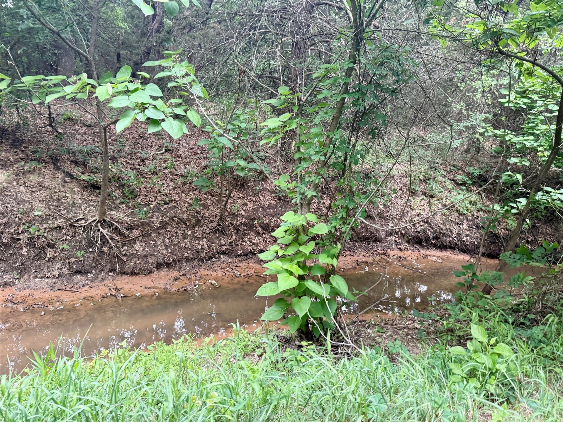 21.35 acres in Montague County - photo 26