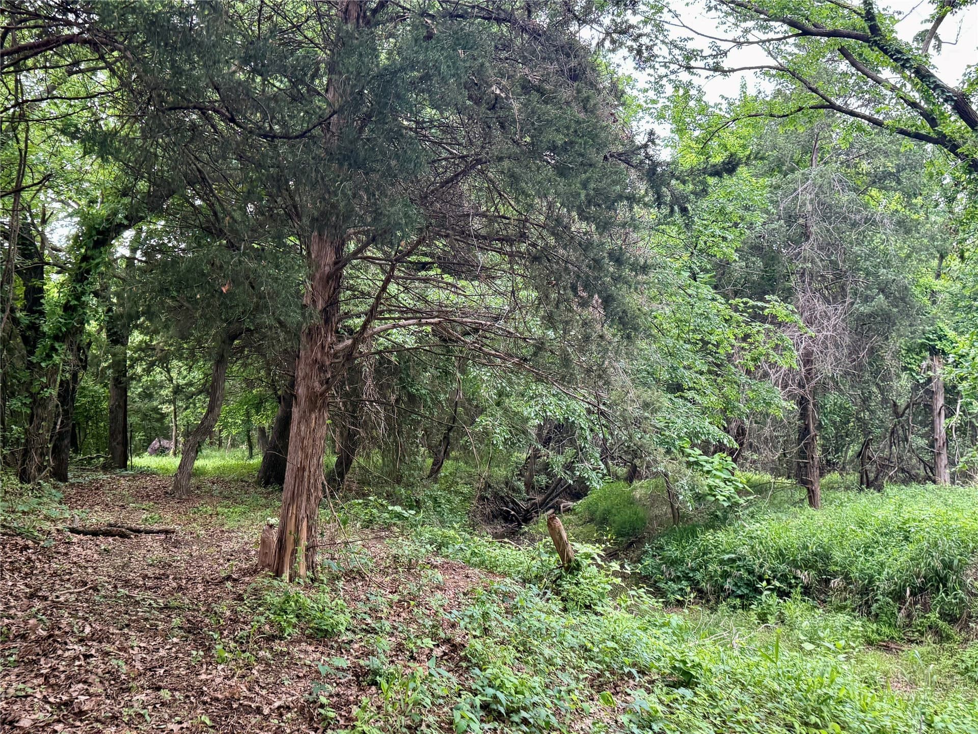 21.35 acres in Montague County - photo 31