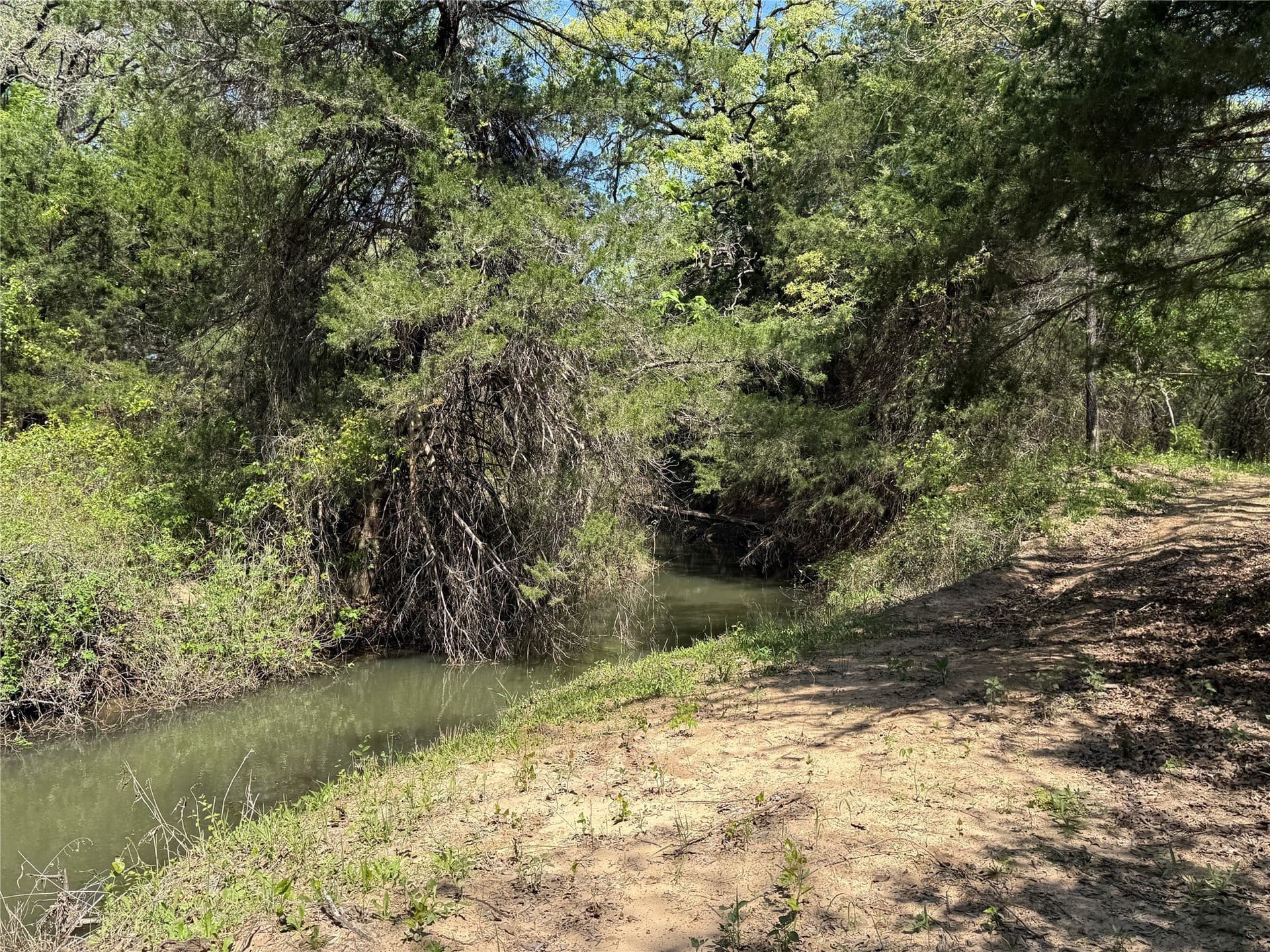 21.35 acres in Montague County - photo 7