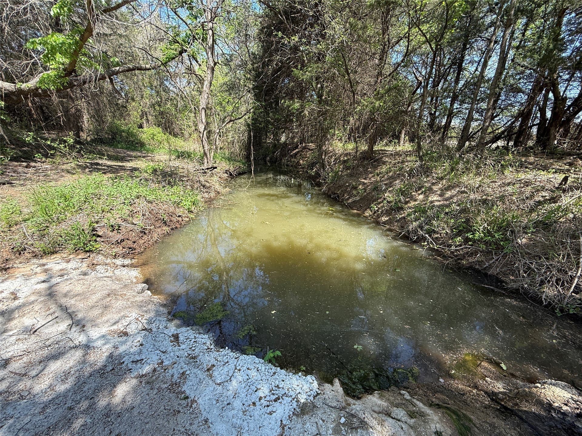 21.35 acres in Montague County - photo 4