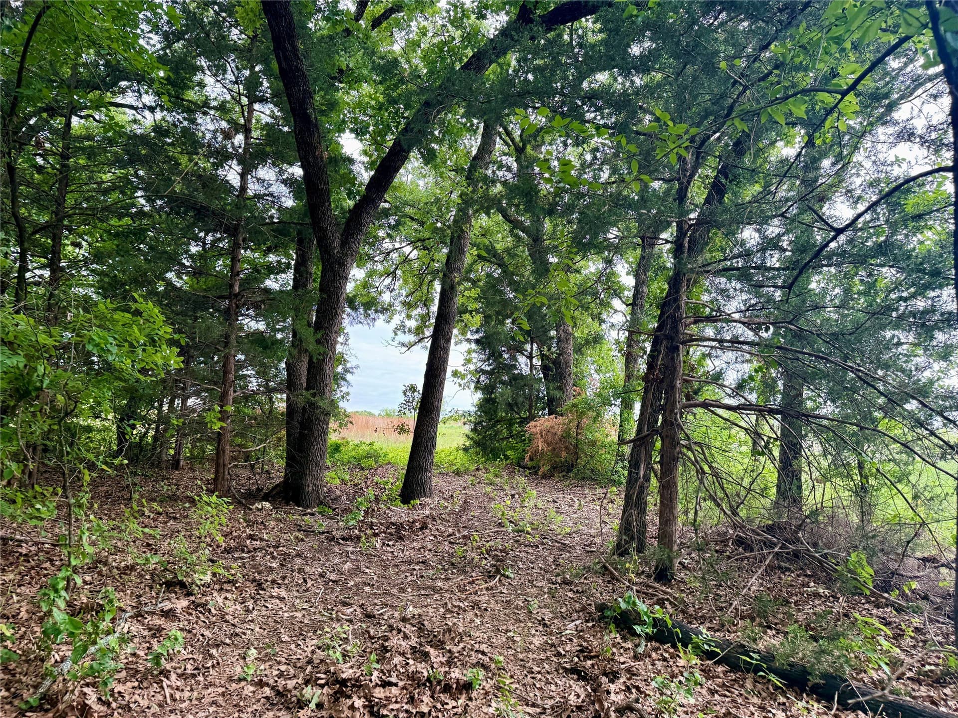21.35 acres in Montague County - photo 35
