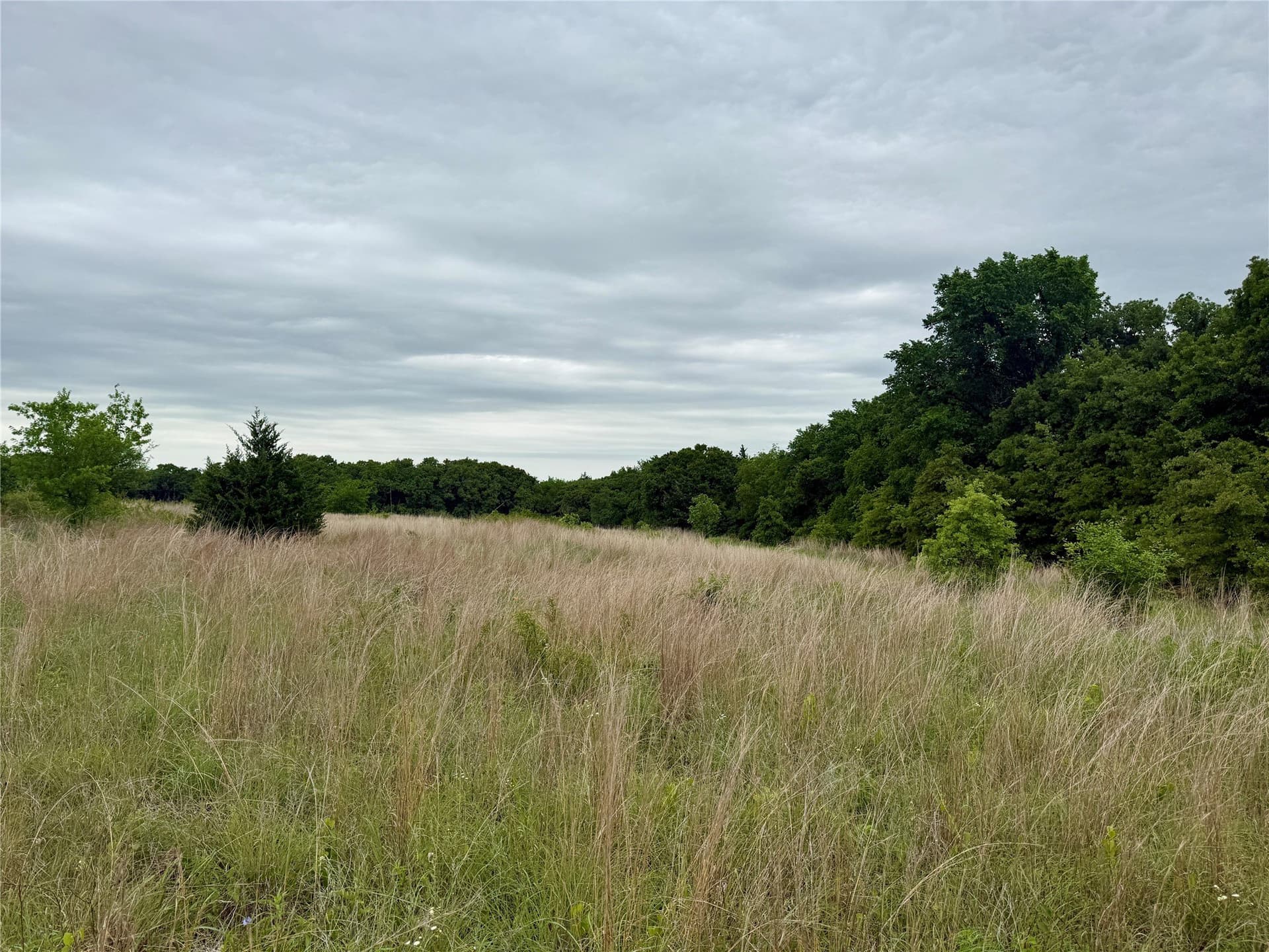 21.35 acres in Montague County - photo 14