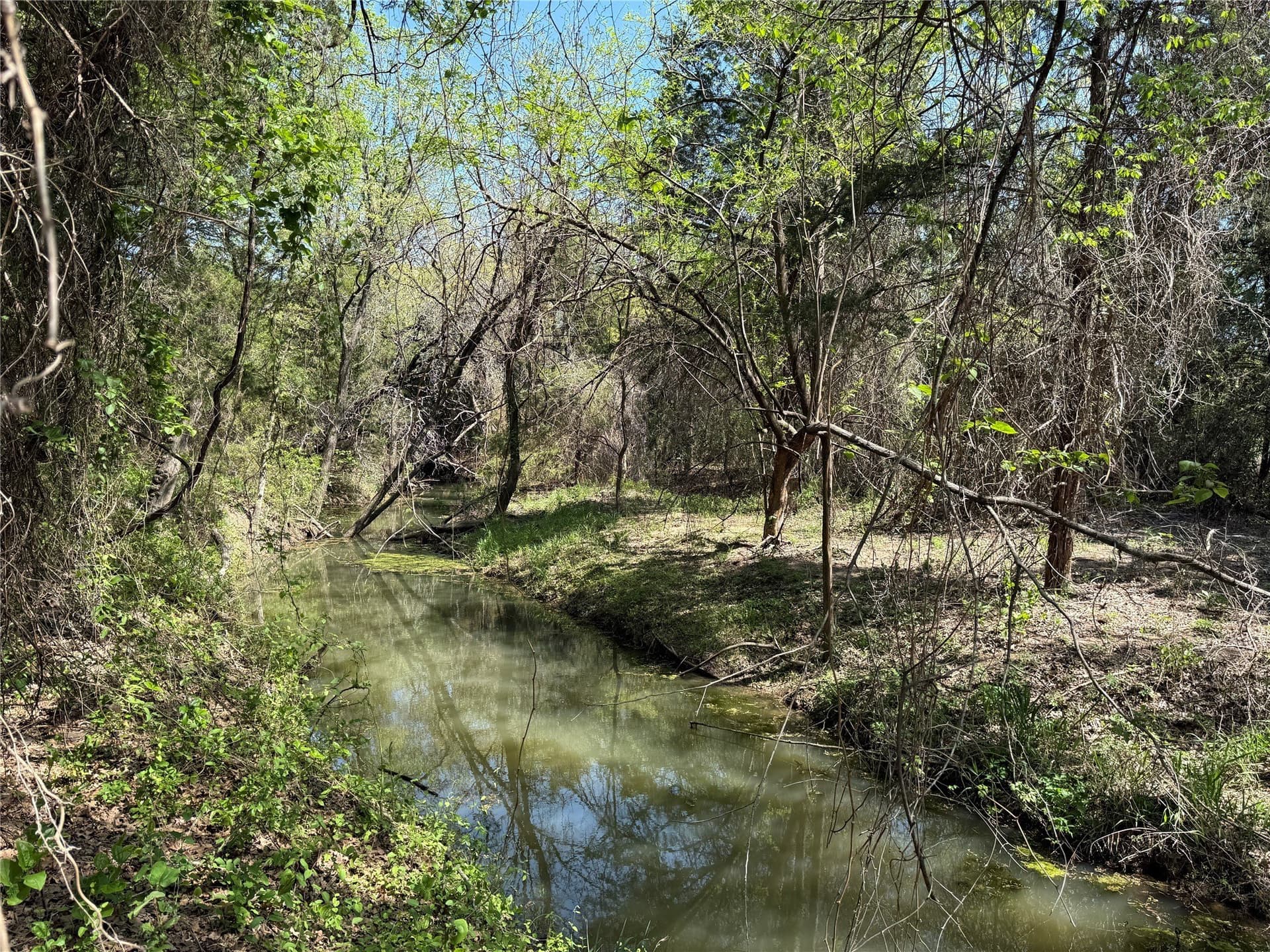 21.35 acres in Montague County - photo 5