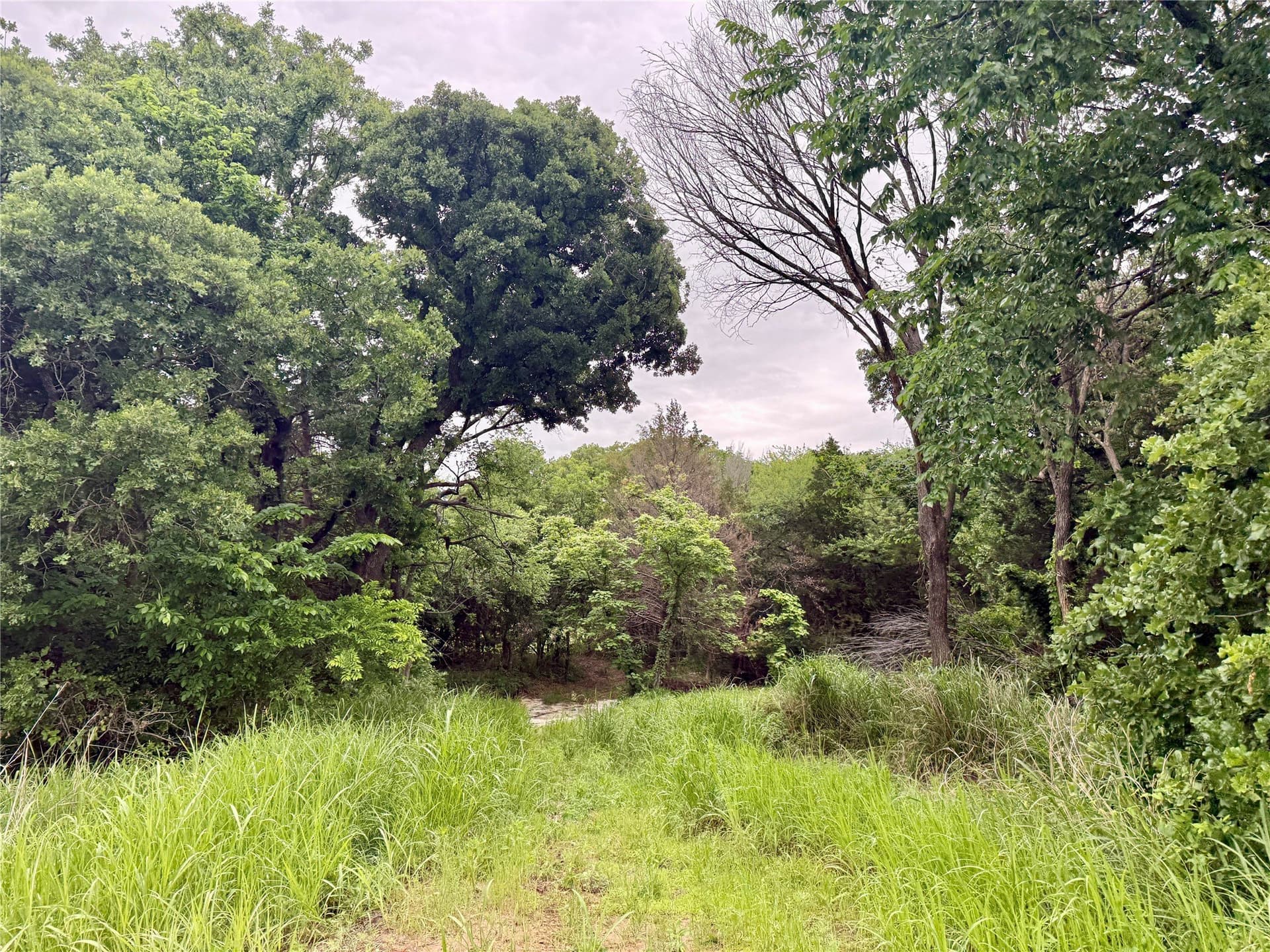 21.35 acres in Montague County - photo 17