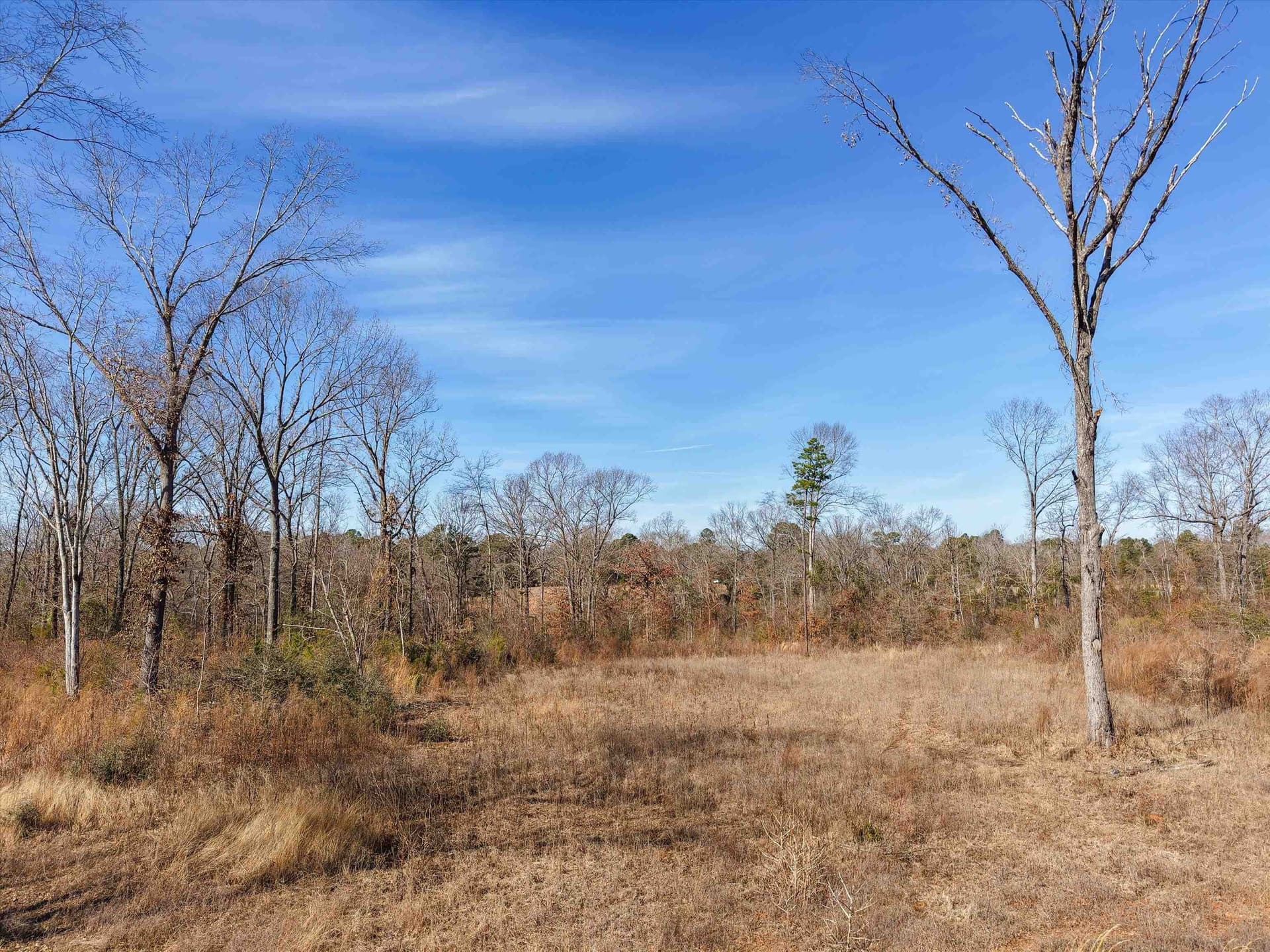 6.4 acres in Upshur County - photo 11