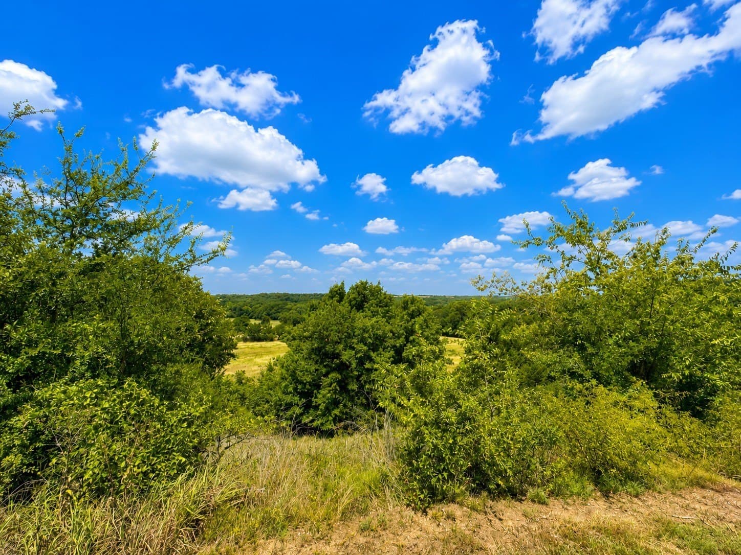 10.08 acres in Wise County - photo 7