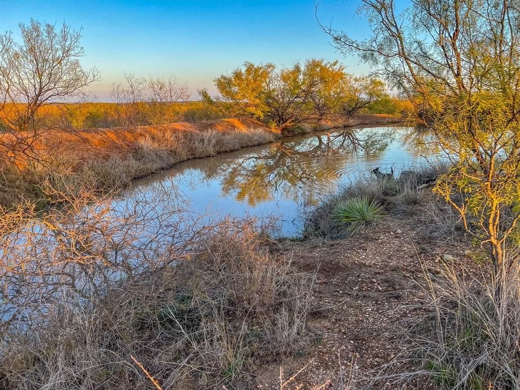 14 acres in McCulloch County gallery image 3