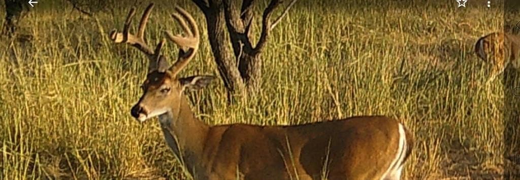 14 acres in McCulloch County featured view
