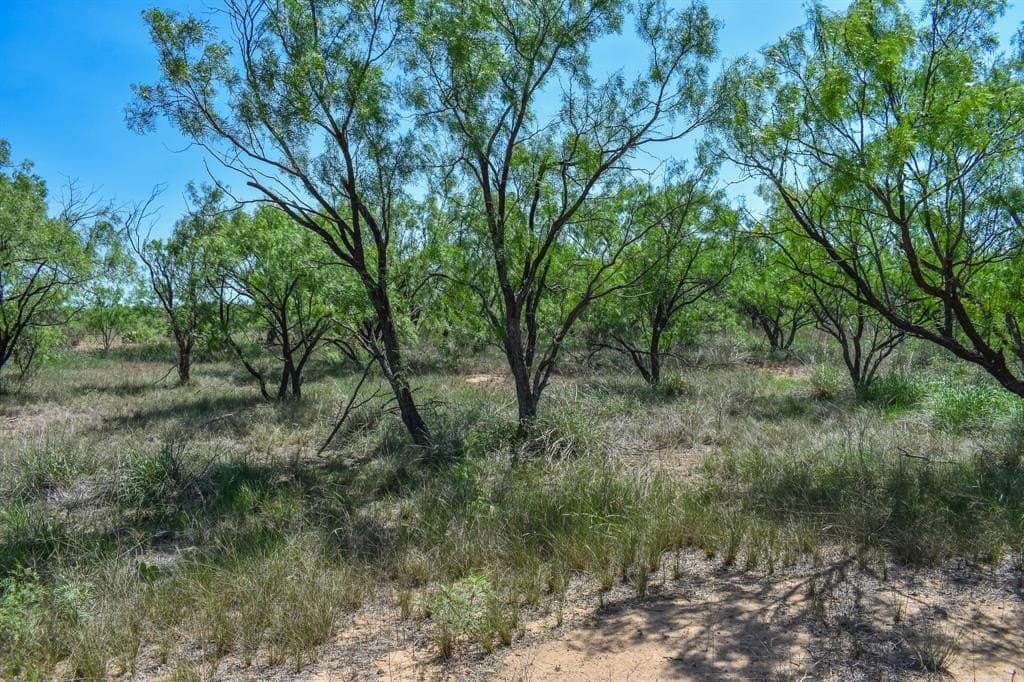 14 acres in McCulloch County