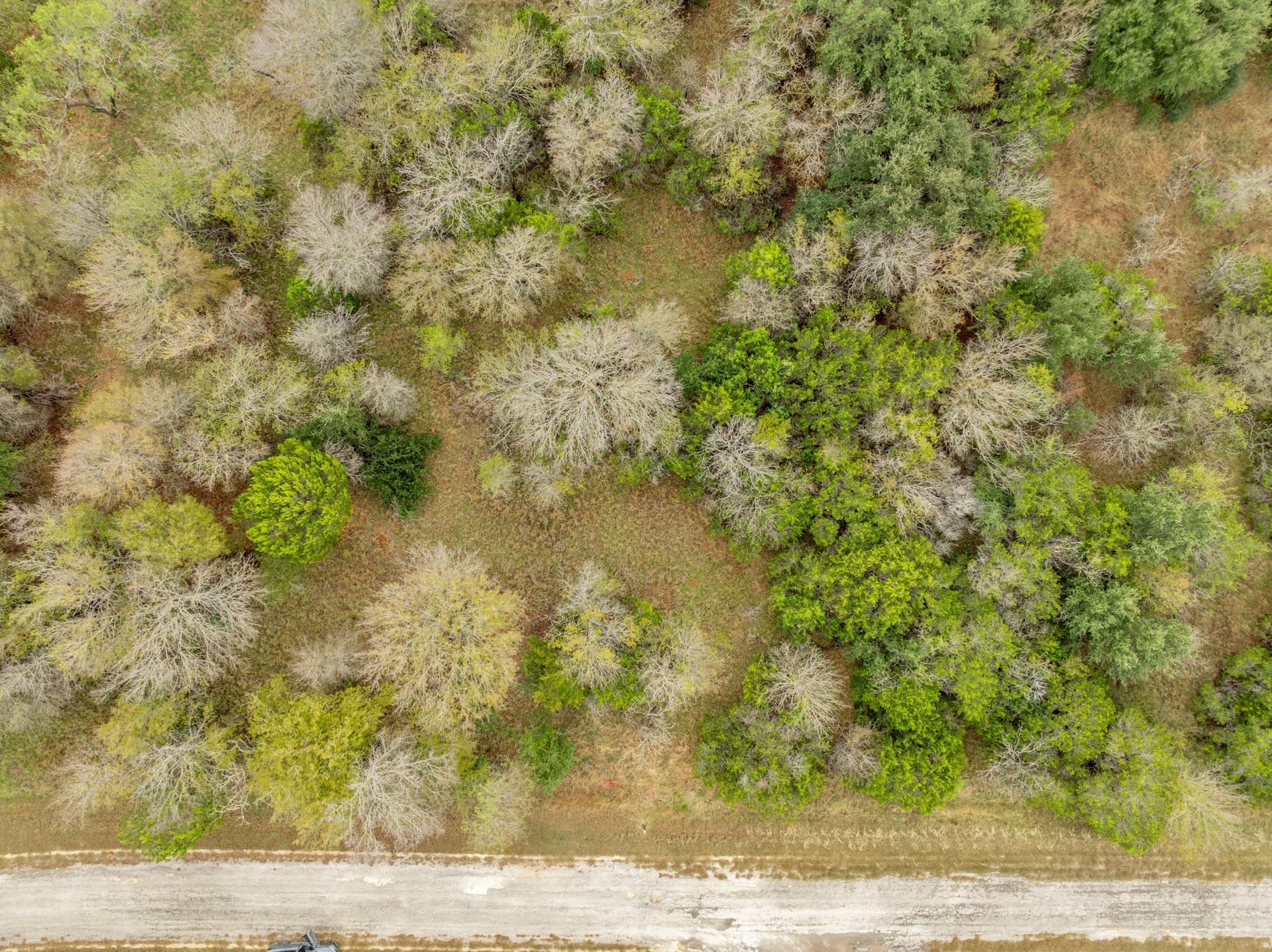 0.14 acres in Hill County - photo 3