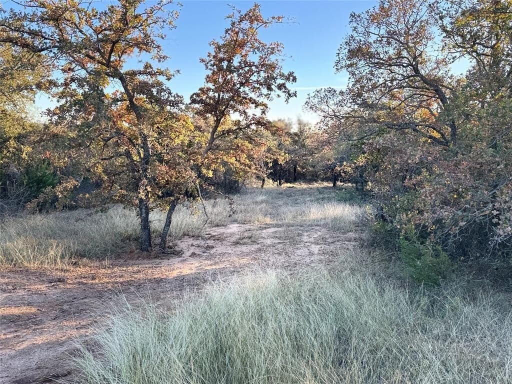 15 acres in Erath County featured view