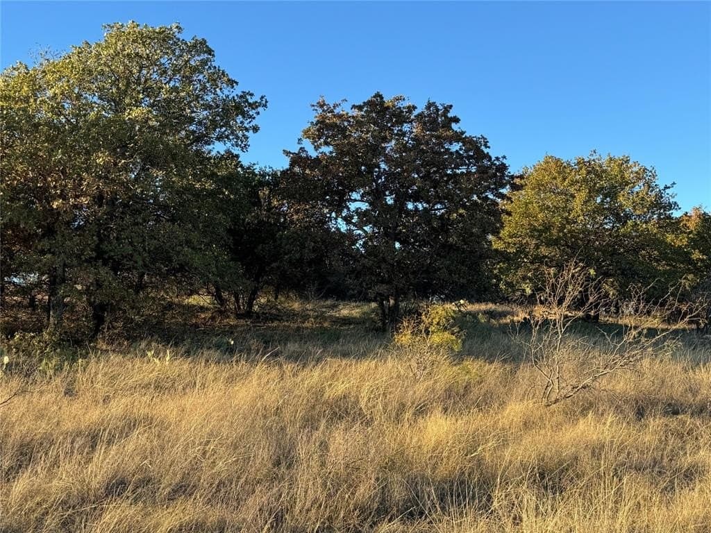 15 acres in Erath County gallery image 4