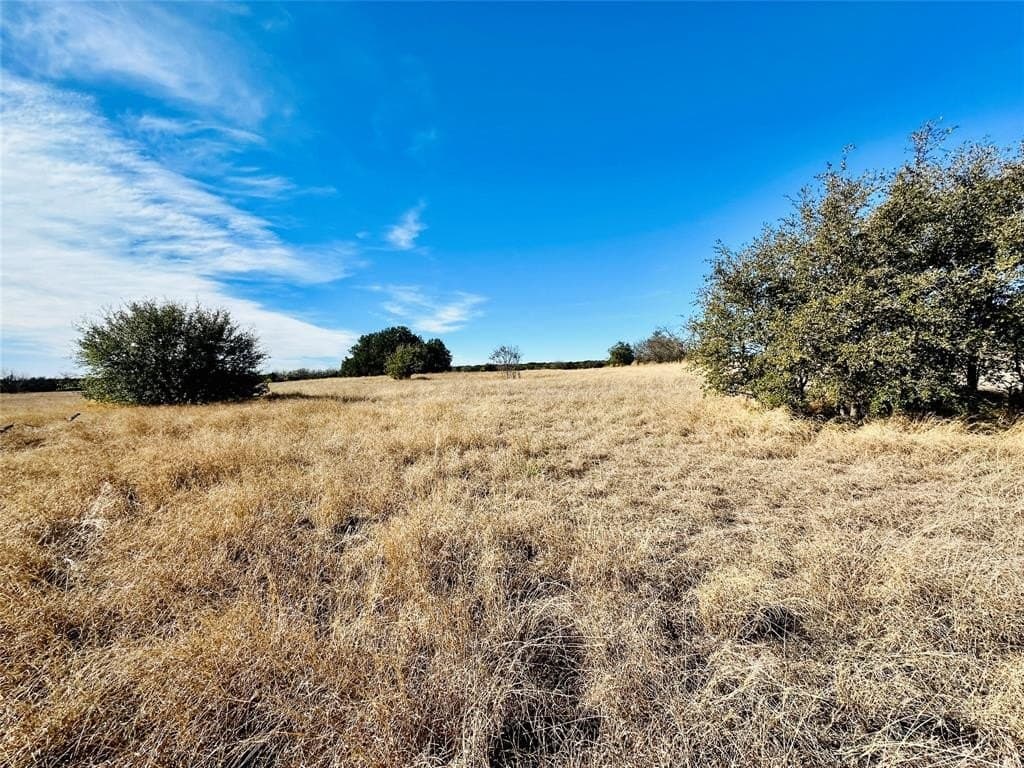 40.61 acres in Callahan County gallery image 2