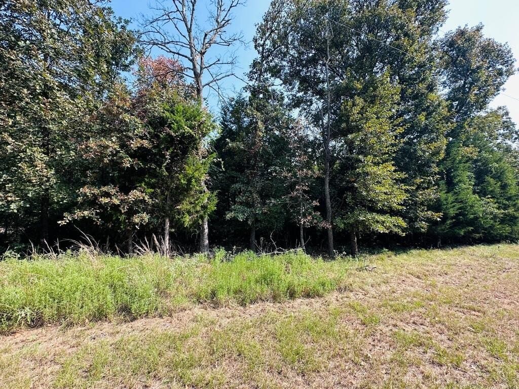 1.3 acres in Henderson County - photo 2