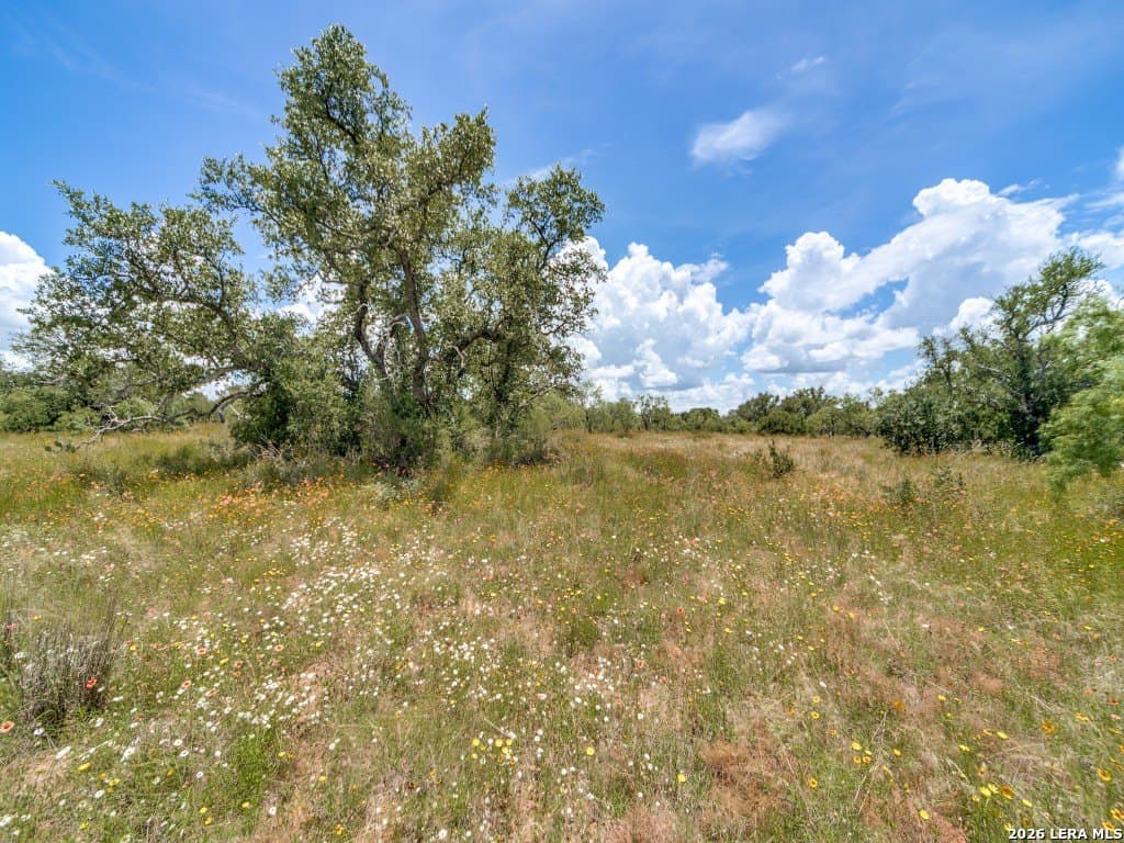 79.35 acres in Mason Co County - photo 12