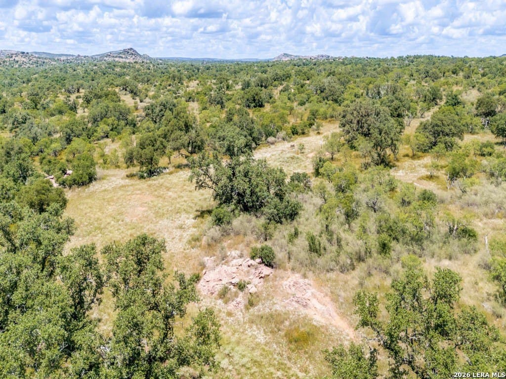 79.35 acres in Mason Co County - photo 17